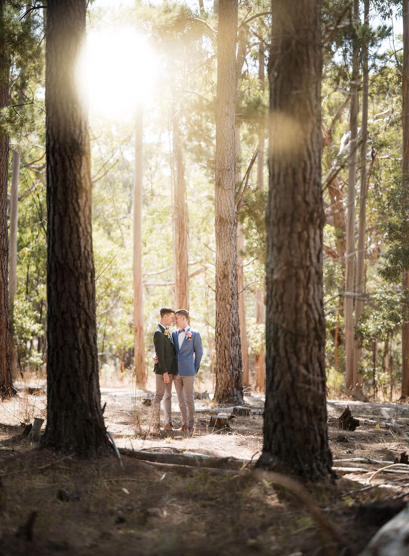 k1 winery wedding - mitch & nick 96 Grooms together in pine trees