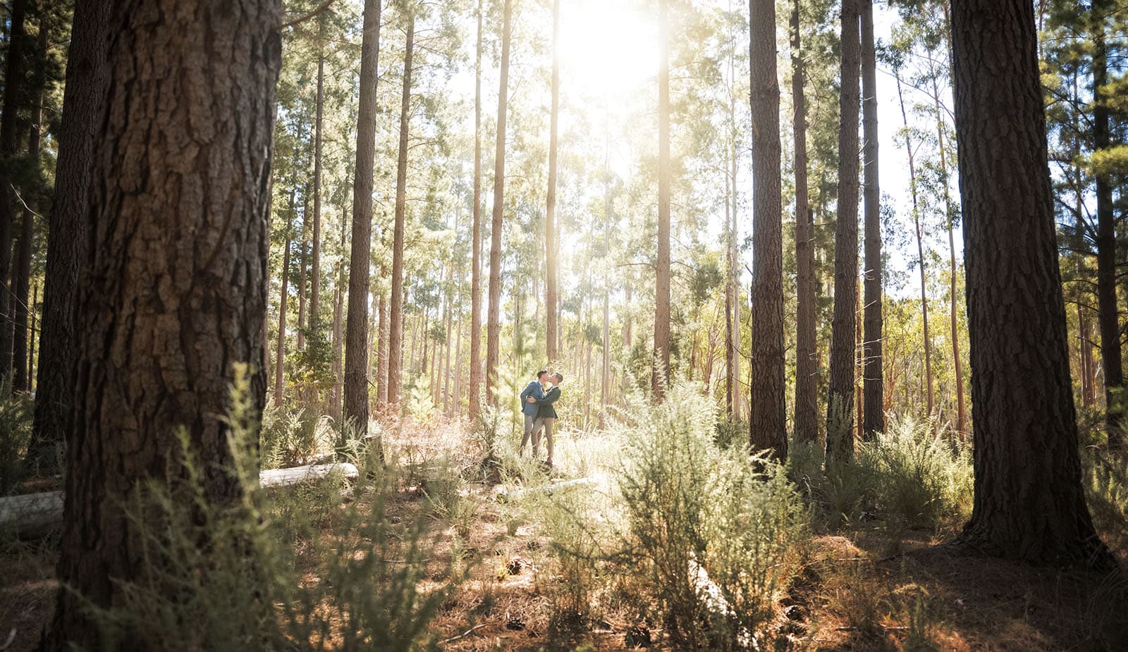 k1 winery wedding - mitch & nick 102 Grooms under sun in pine trees