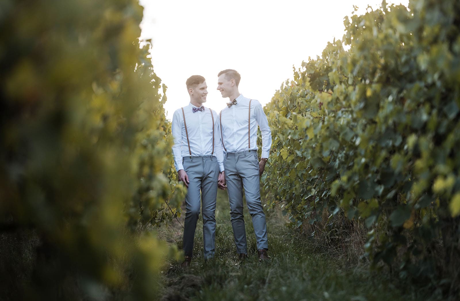 k1 winery wedding - mitch & nick 139 grooms walking through vines
