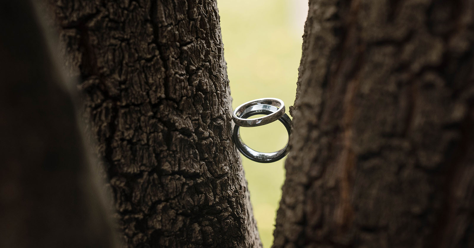 k1 winery wedding - mitch & nick 79 Wedding bands in tree