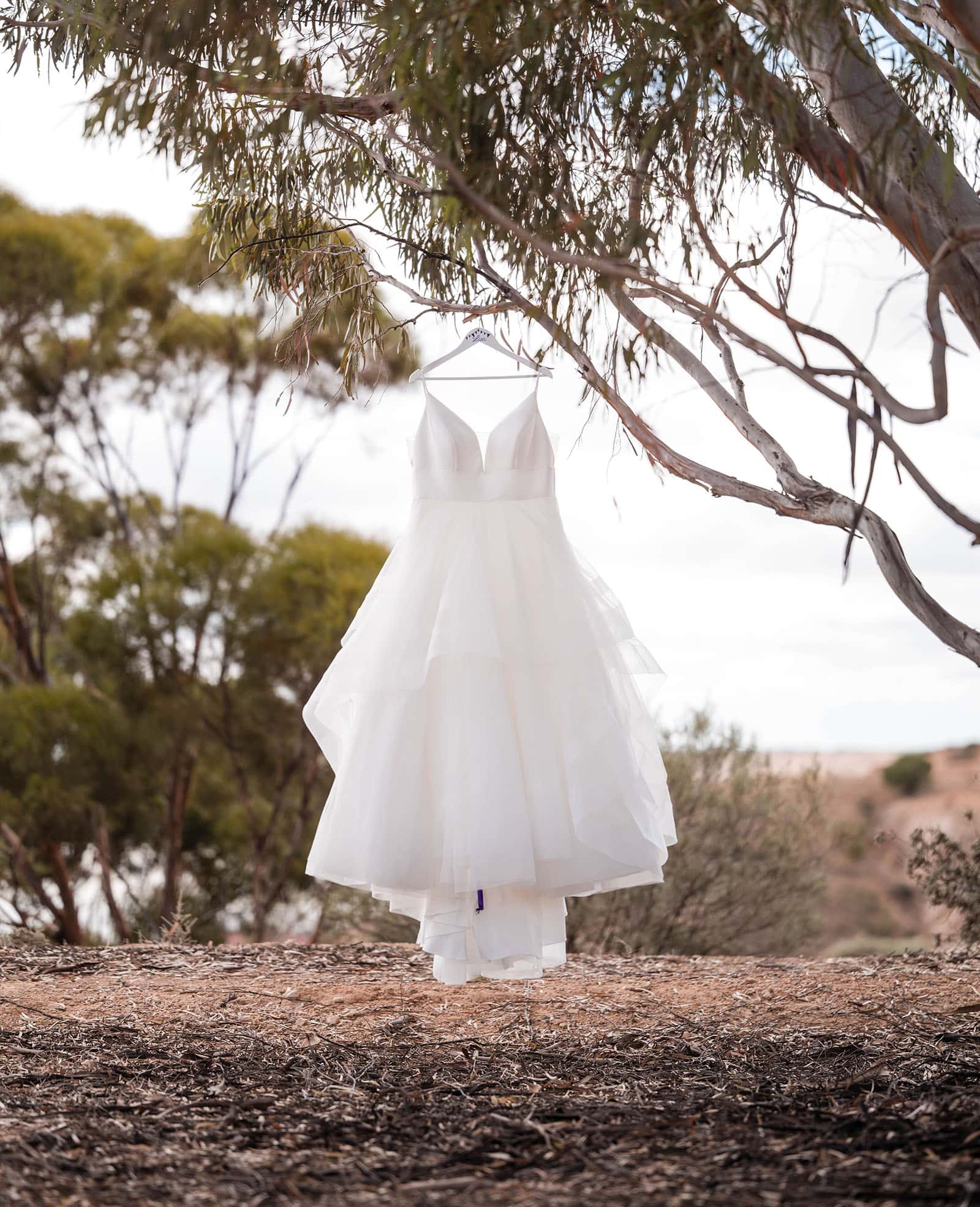 riverland wine centre wedding - lisa & mitch 162 Wedding tress hanging in gum tree