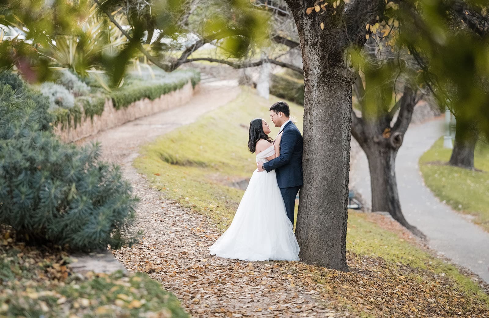 chesser st registration office wedding - khate & angelo 86 Bride and groom cuddle under tree
