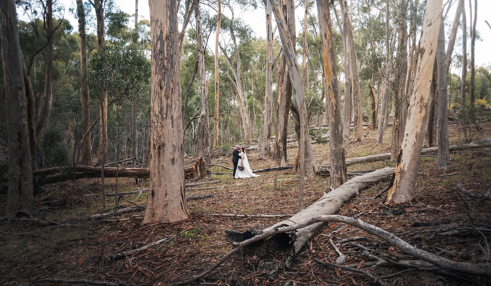 ten22 wedding - julia & daniel 164 bride and groom deep in gum tree forest