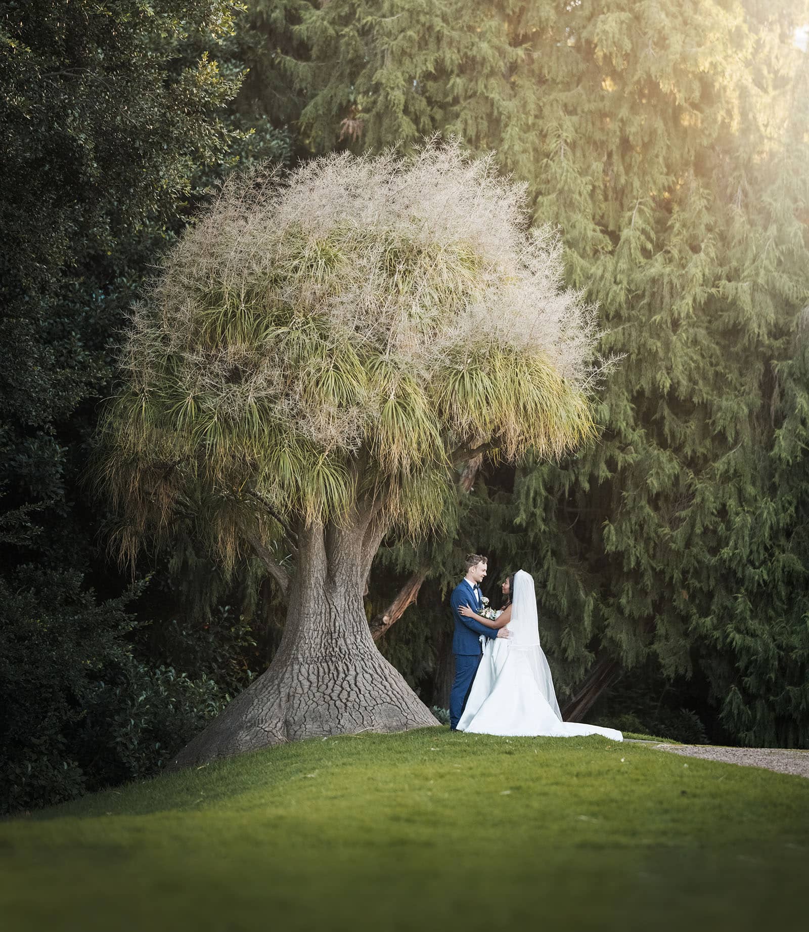 our lady of the rosary church wedding - lorraine & wayne 186 bride and groom under Dr Suess tree