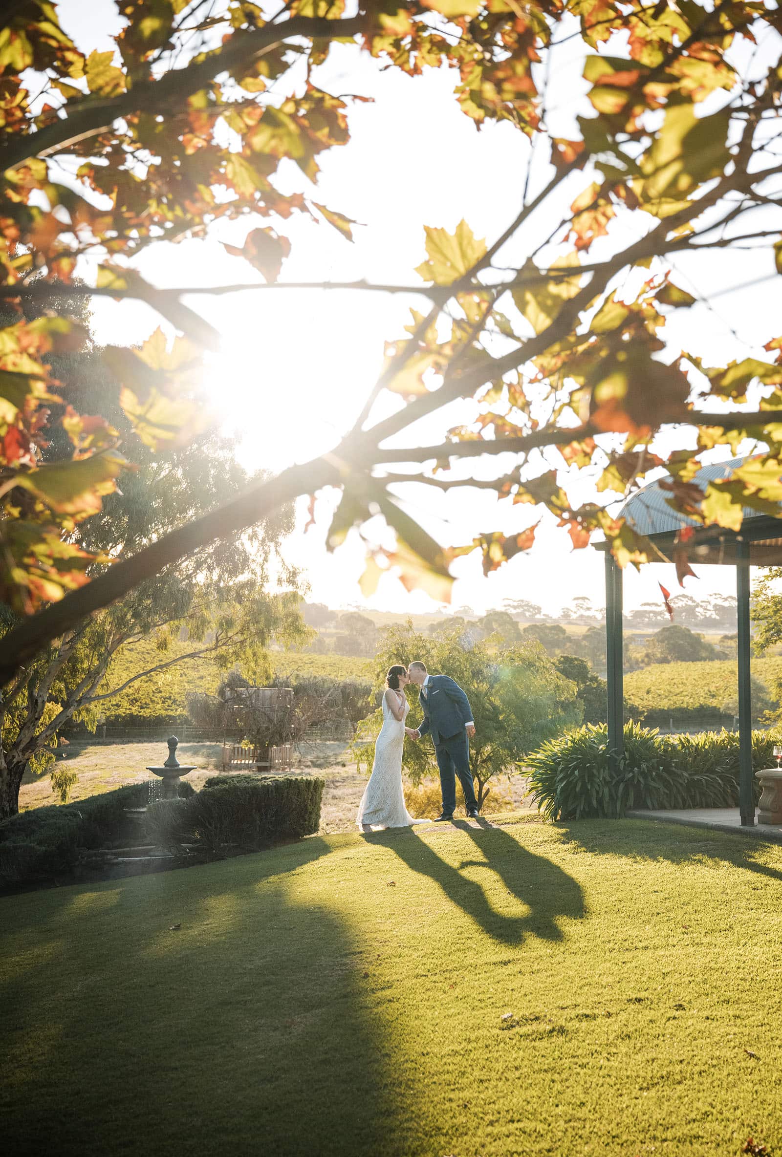 white hill estate wedding - catherine & sean 307 Bride and groom under sun flare through tree