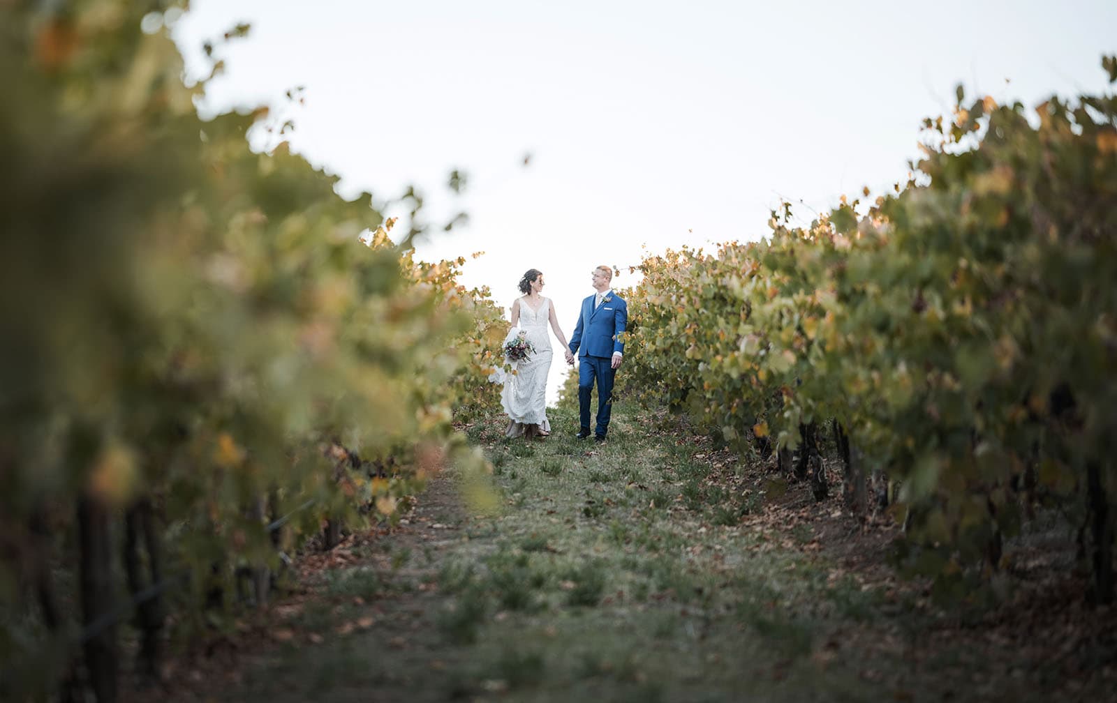 white hill estate wedding - catherine & sean 312 Bride and groom walking int he vines
