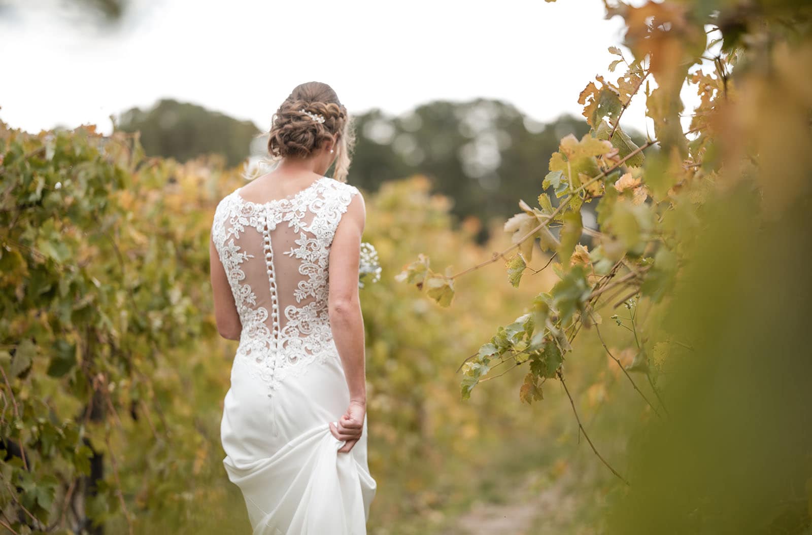 vine shed wedding - kat & katie 213 Bride walking through vineyard