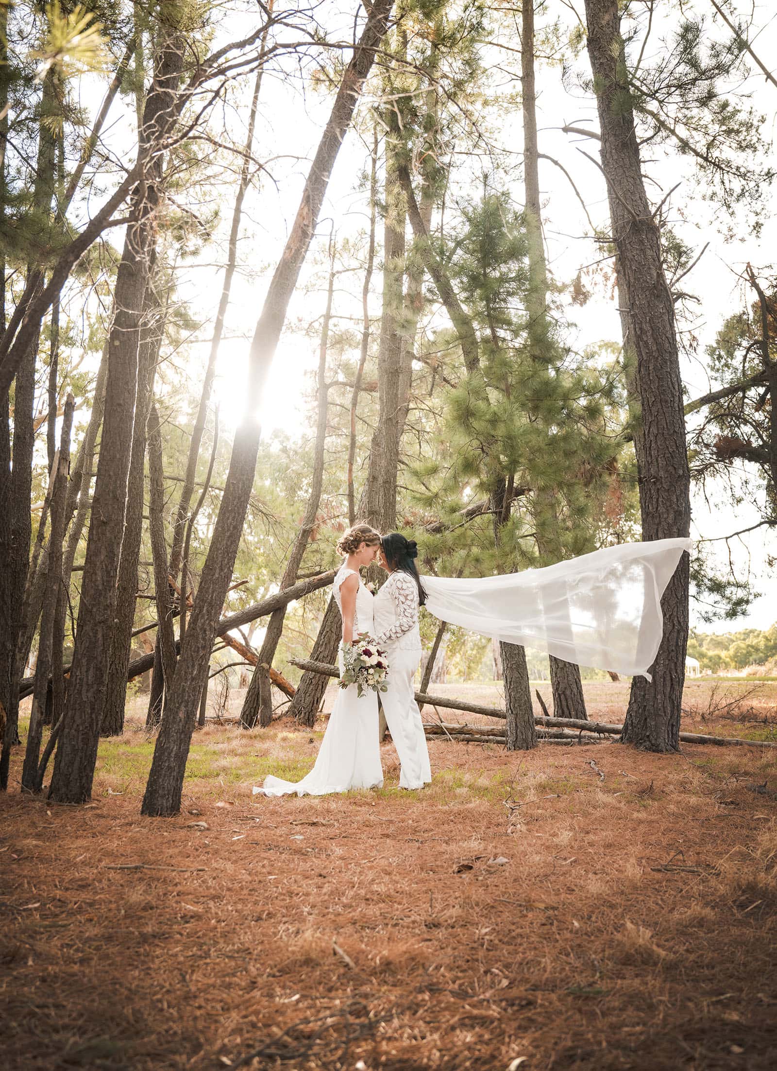 vine shed wedding - kat & katie 234 Brides standing together in pine trees