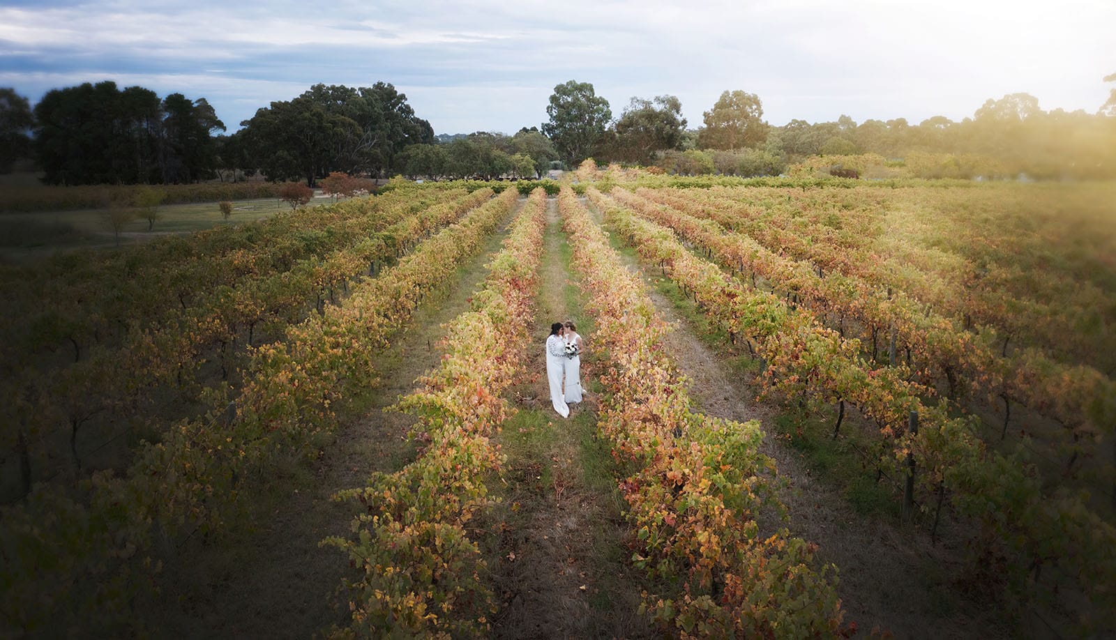 vine shed wedding - kat & katie 243 Brides together in vineyard drone photo