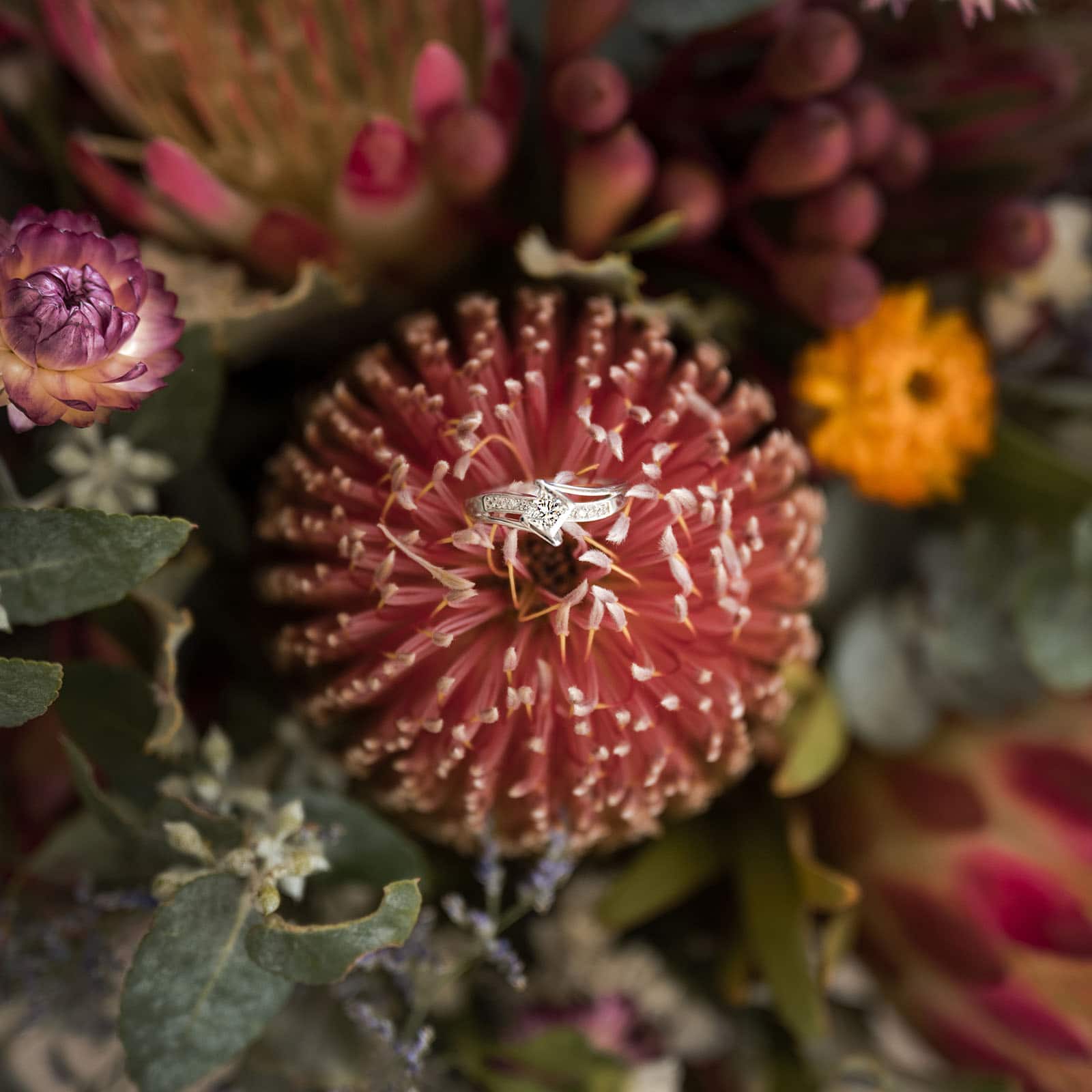 white hill estate wedding - catherine & sean 275 Engagement ring in banksia