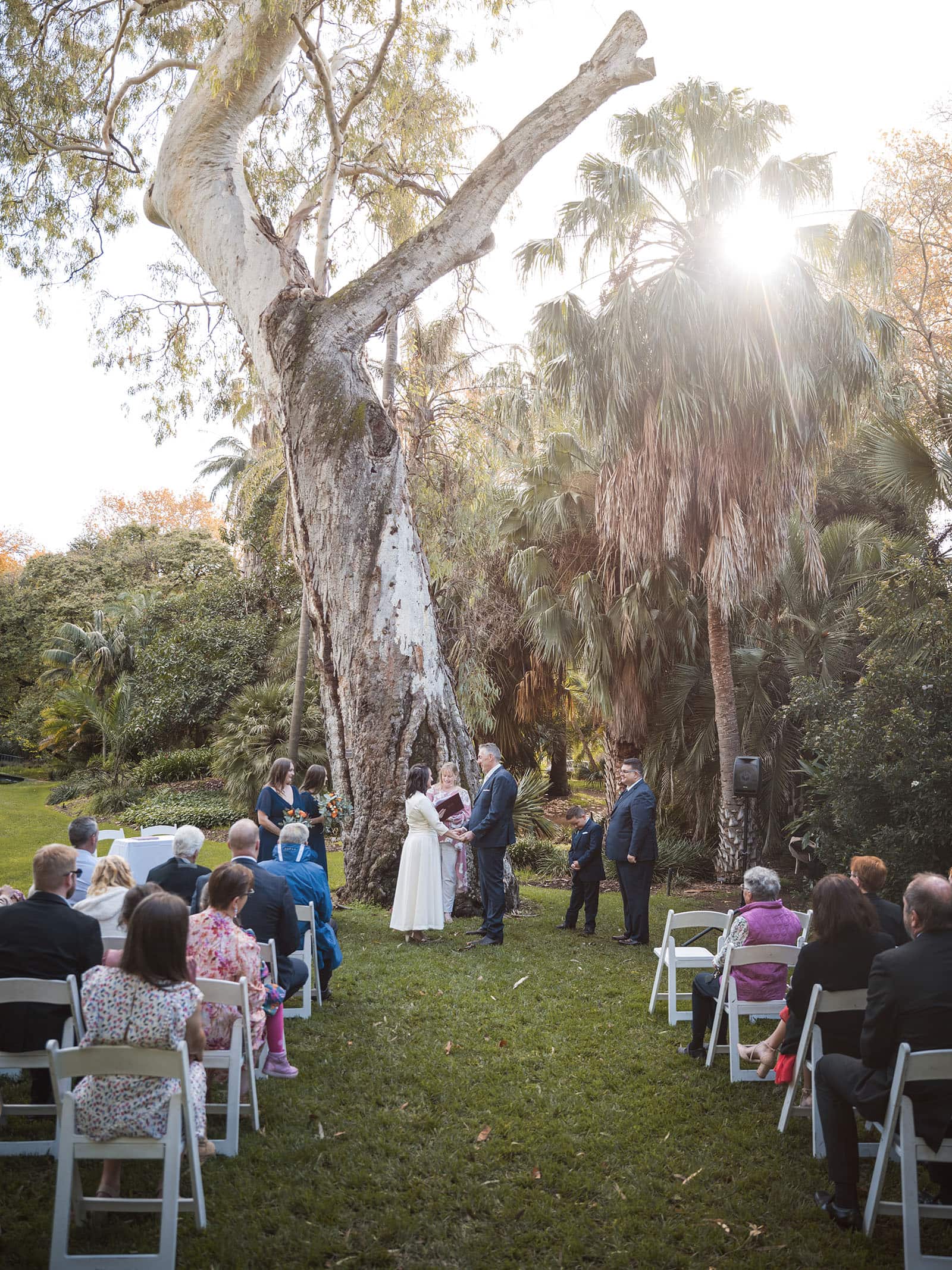northern palm garden wedding - nicole & daryl 116 Northern Palm Garden wedding portrait