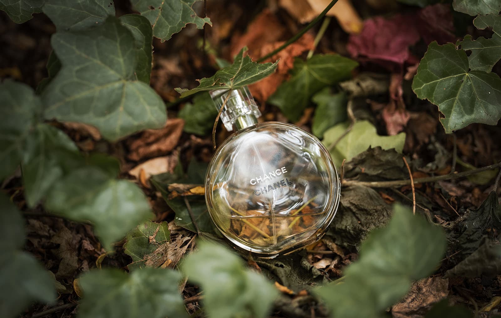 vine shed wedding - kat & katie 185 Perfume bottle in vines