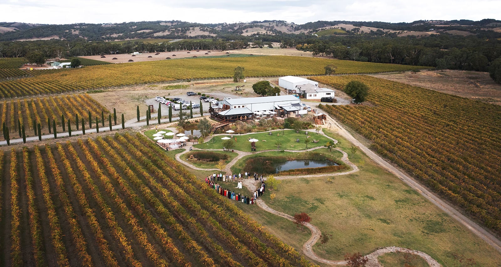 vine shed wedding - kat & katie 230 The Vine Shed wedding group photo with drone