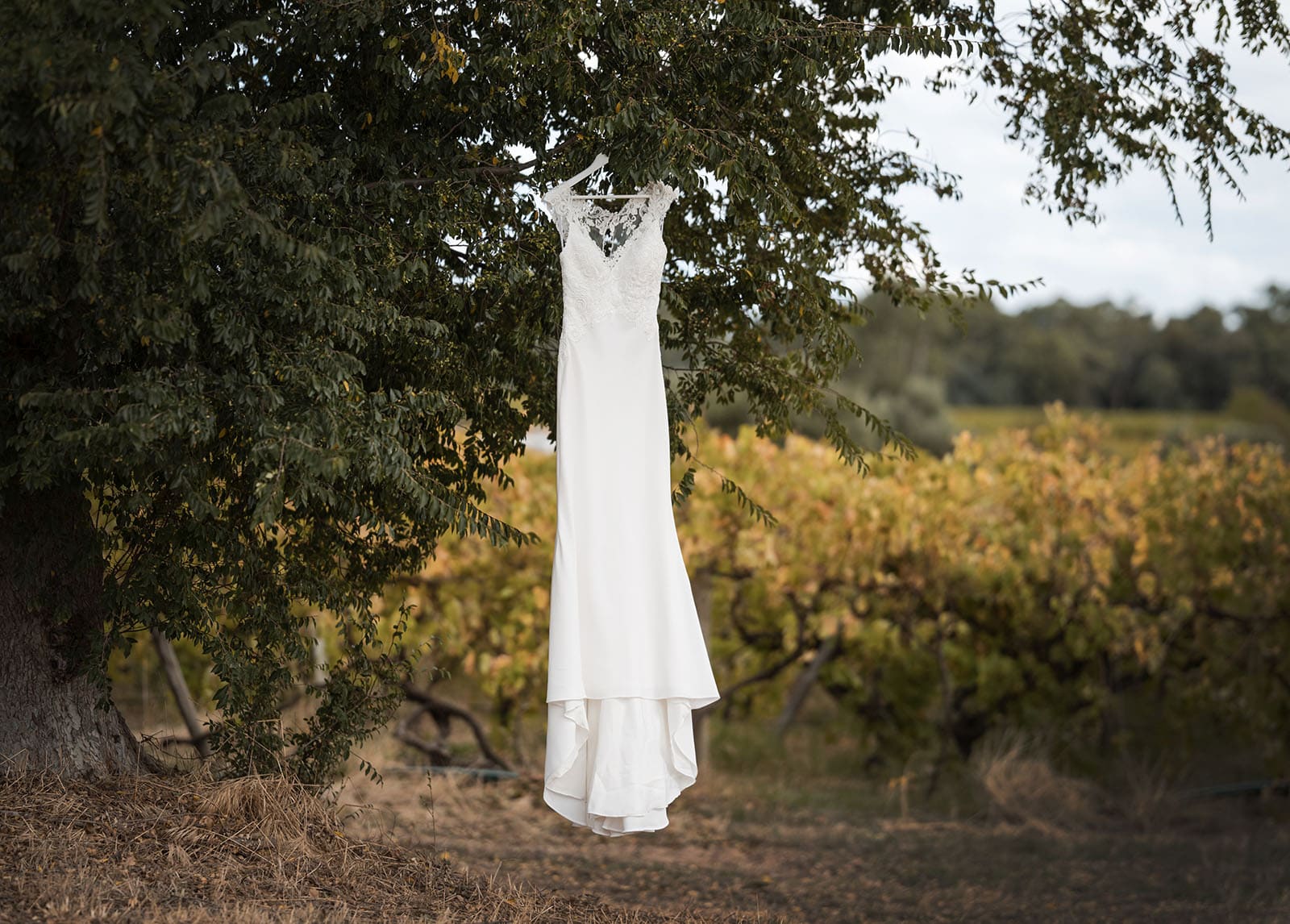 vine shed wedding - kat & katie 202 Wedding dress hanging in tree with vines