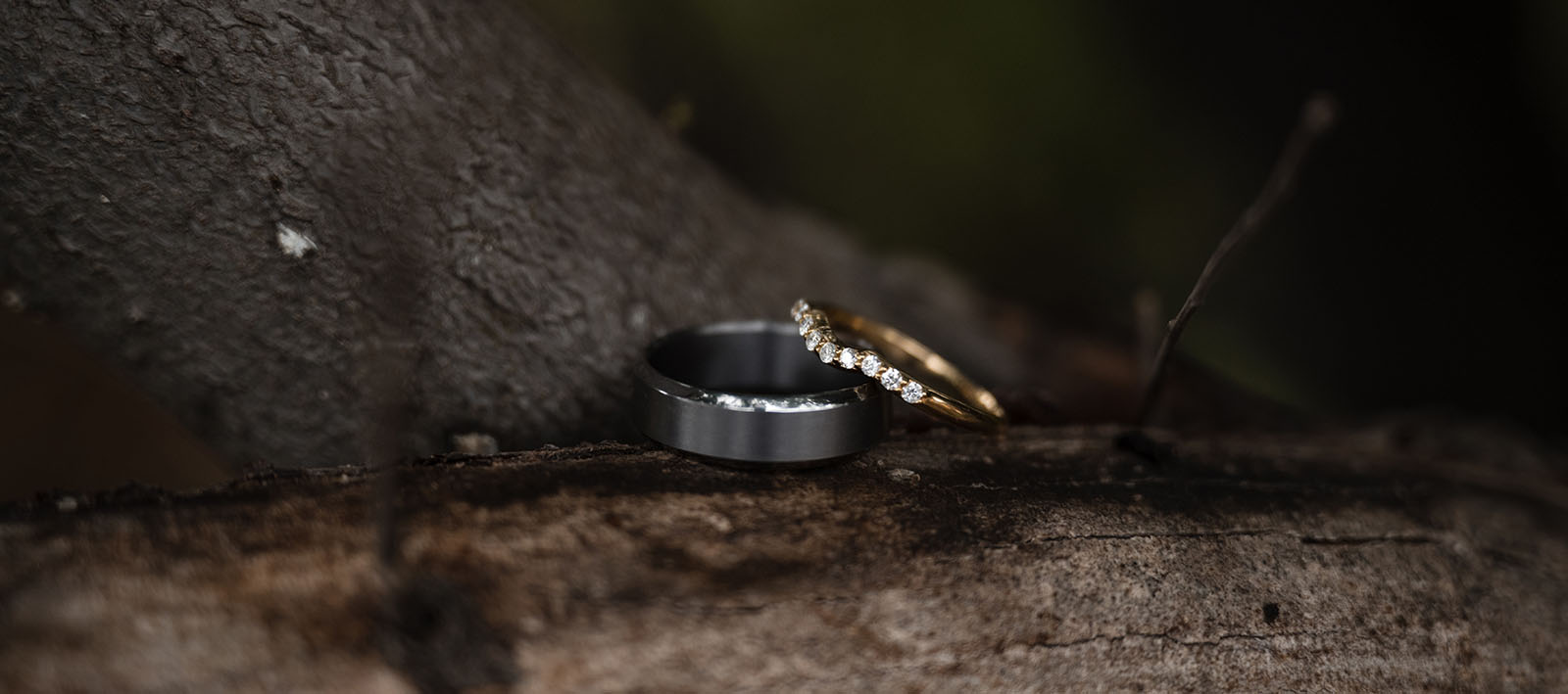 ten22 wedding - julia & daniel 131 Wedding rings on bark
