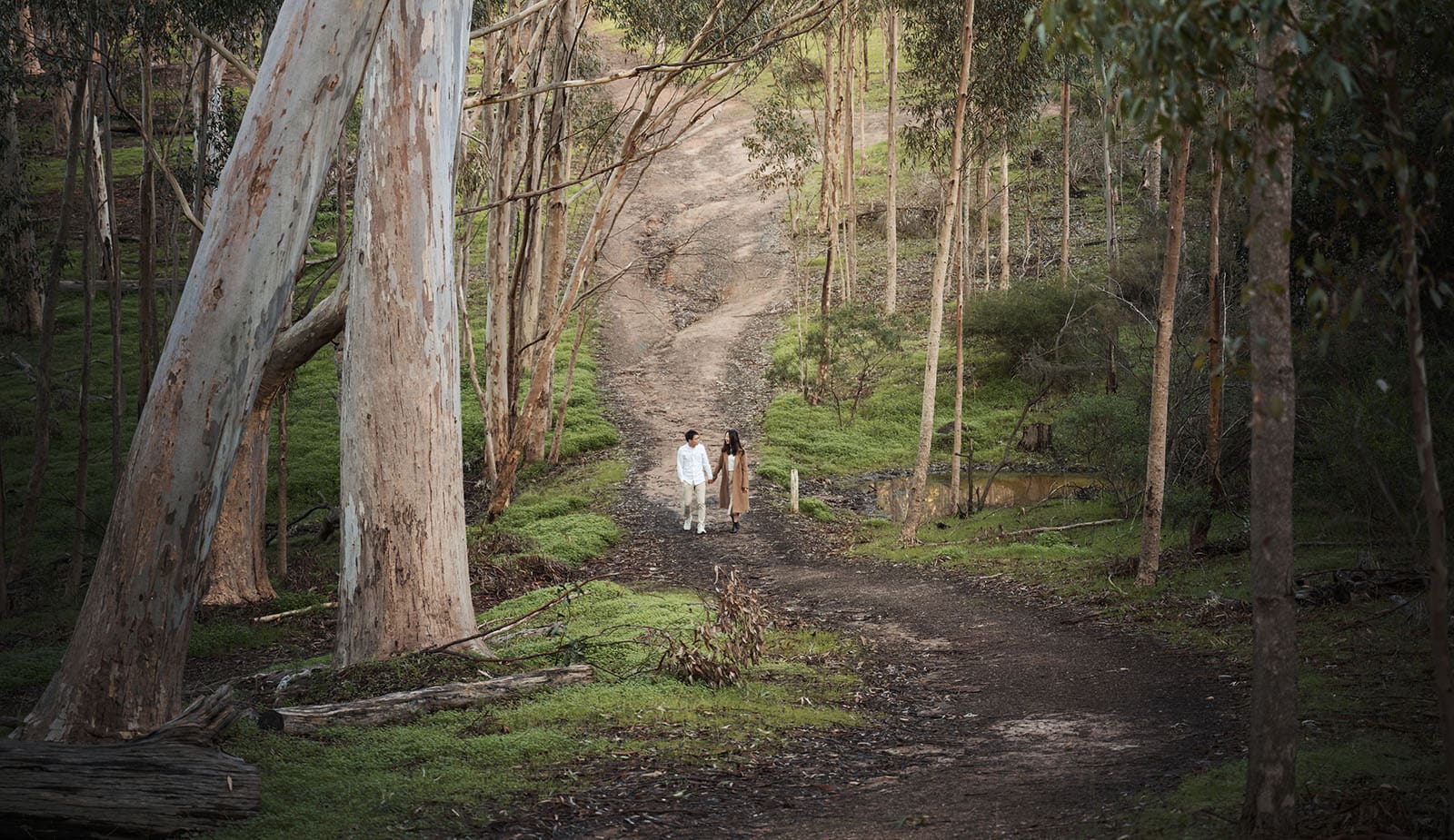 belair train station engagement shoot - melody & chris 94 Couple deep in Belair National Park