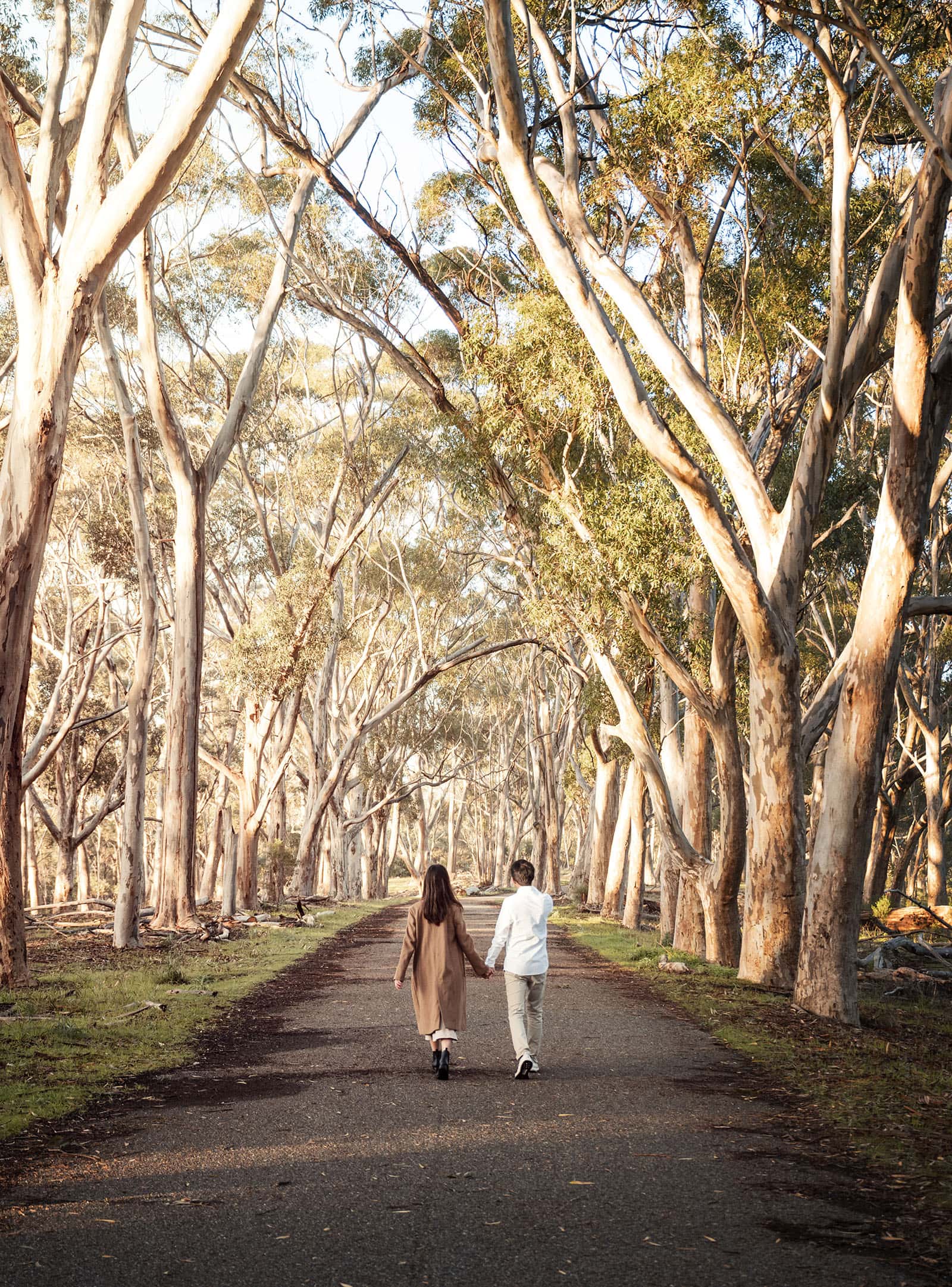 belair train station engagement shoot - melody & chris 102 Couple walking through gum trees in the Belair National Park