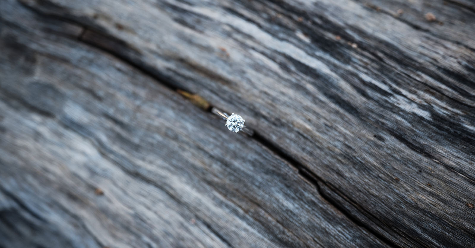 belair train station engagement shoot - melody & chris 99 Engagement ring in wood