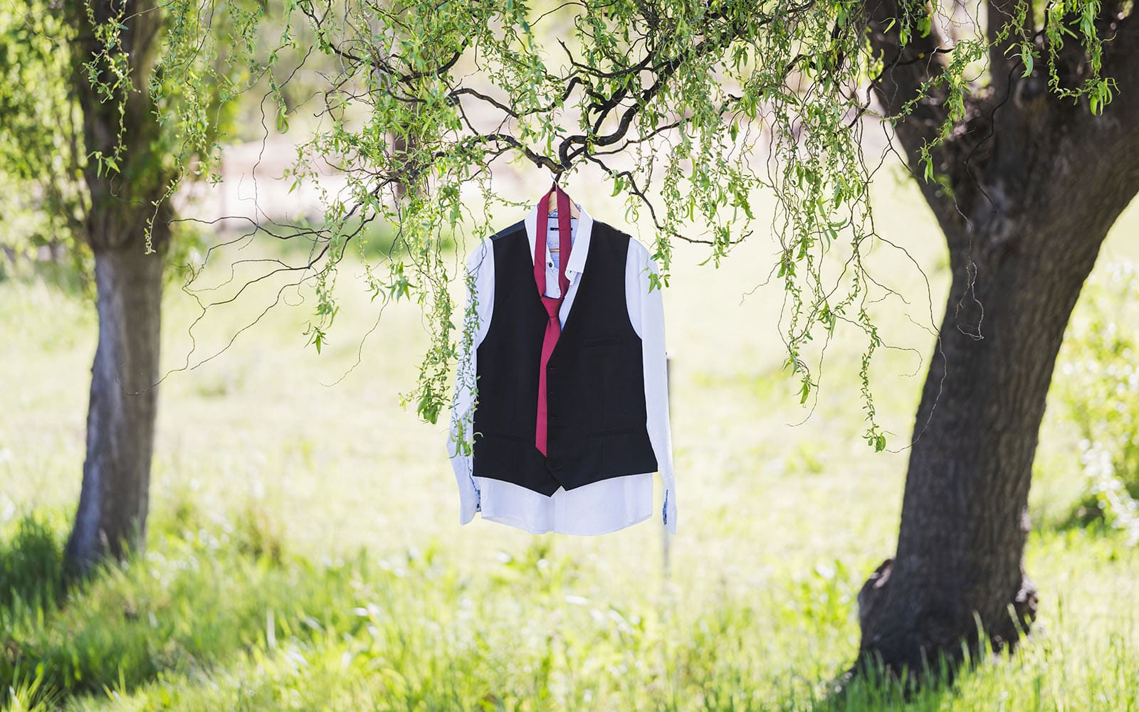 tiny house on the prairie wedding - kat & stacey 55 Bridal suit haning in tree