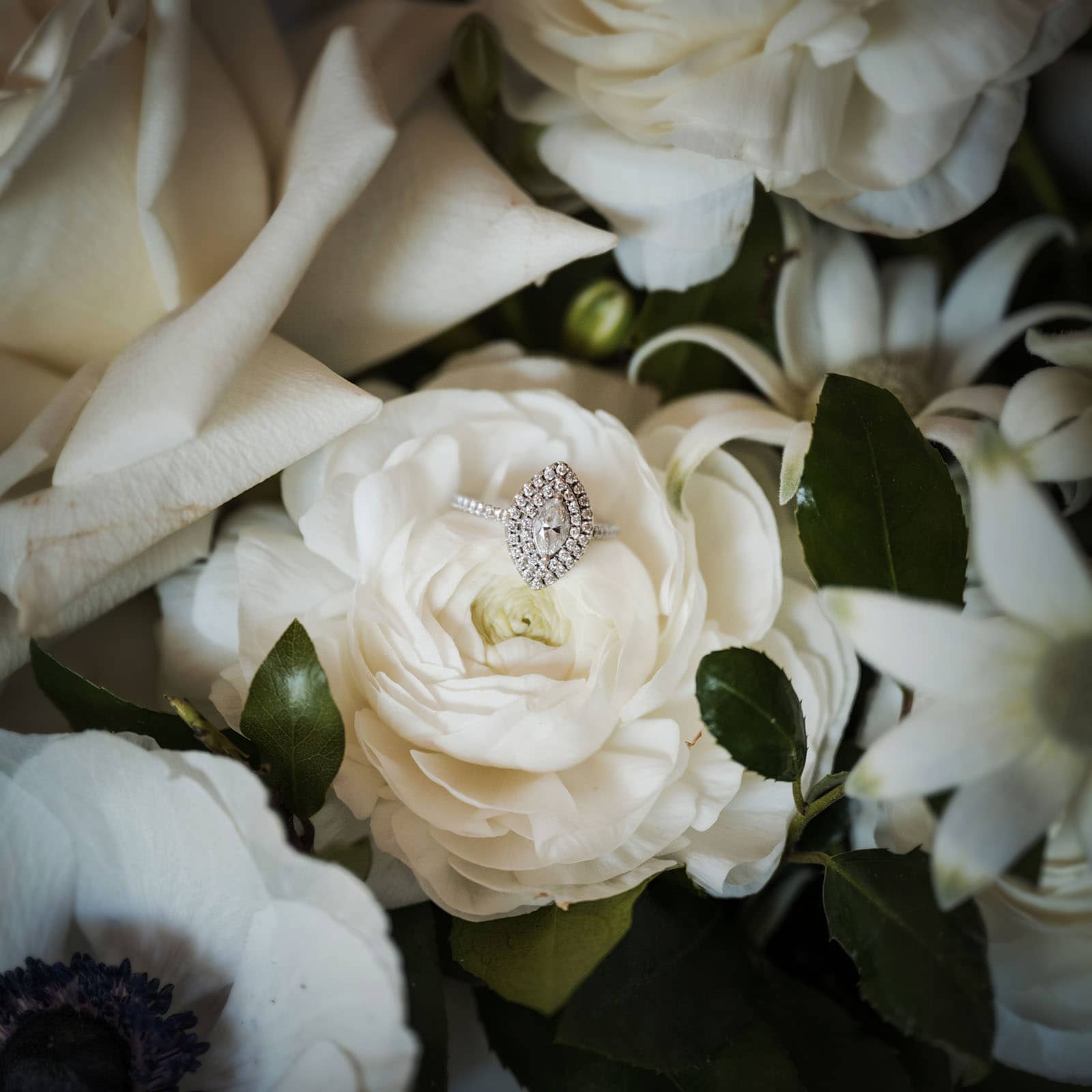 glenelg's partridge house wedding - emma & steven 124 Engagement ring in white rose
