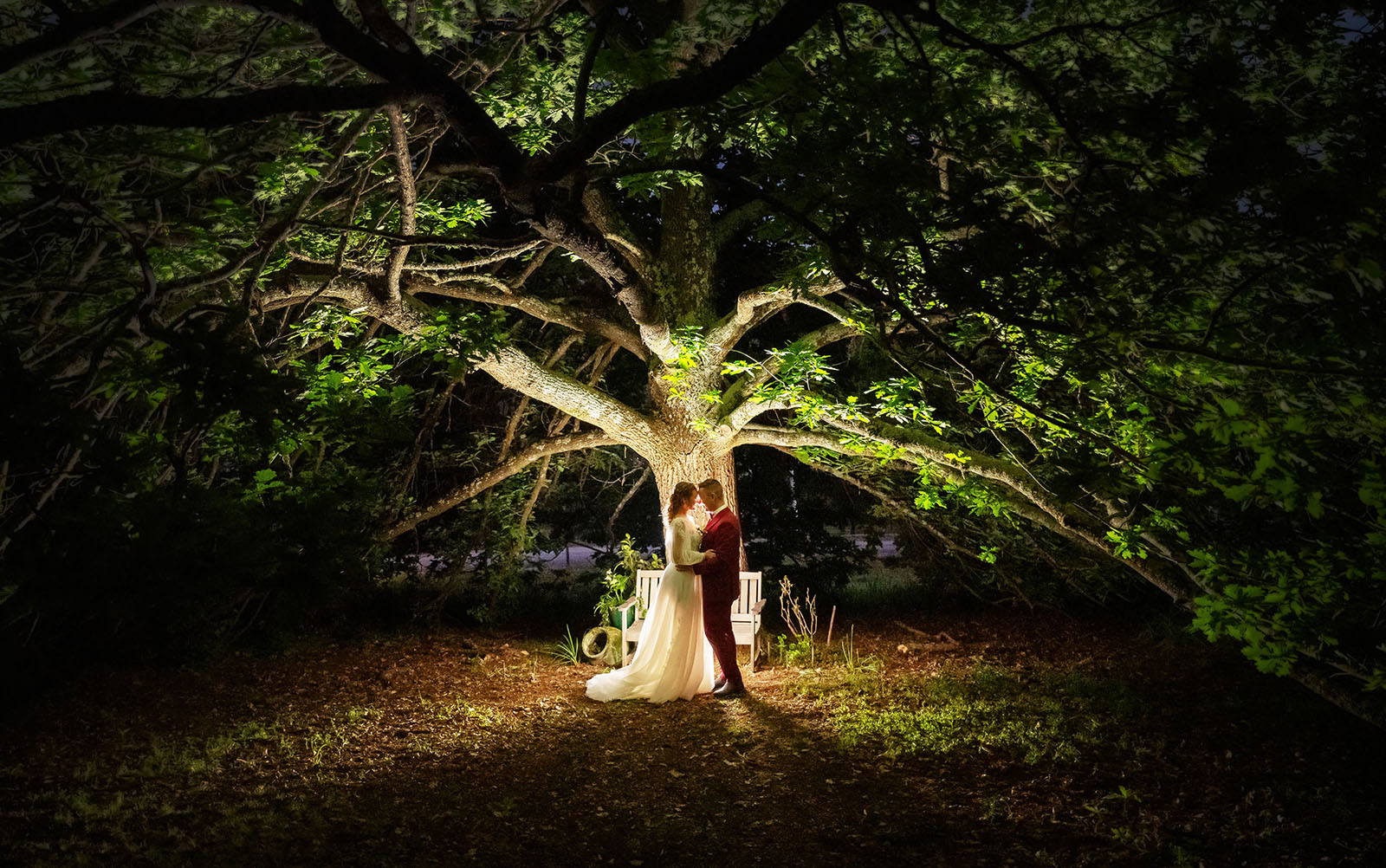 templewood house wedding - michelle & andrew 43 Bridal couple lit up under tree