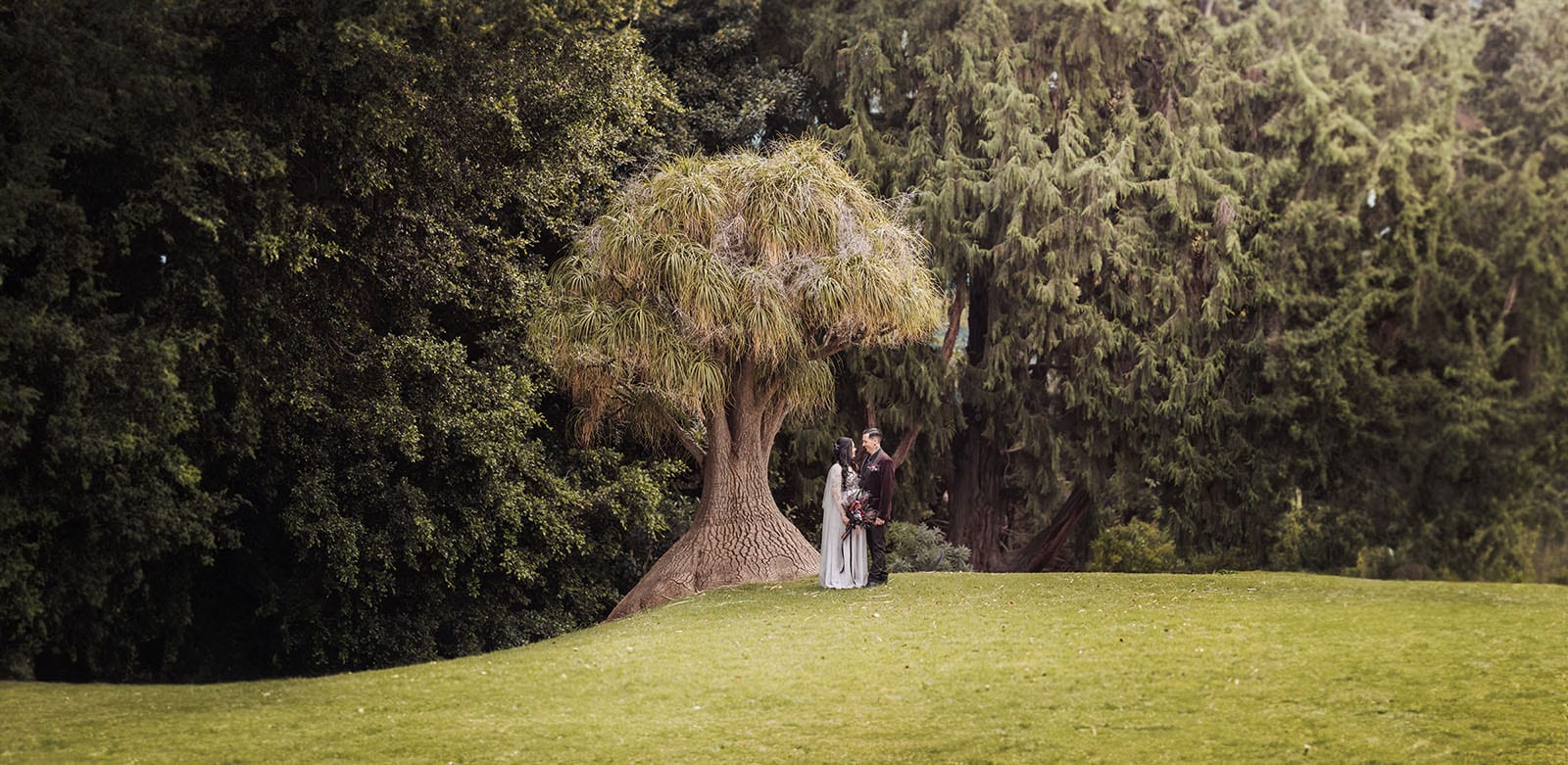 palm house gardens wedding - ayla & drew 173 Bridal couple under Dr Suess Tree