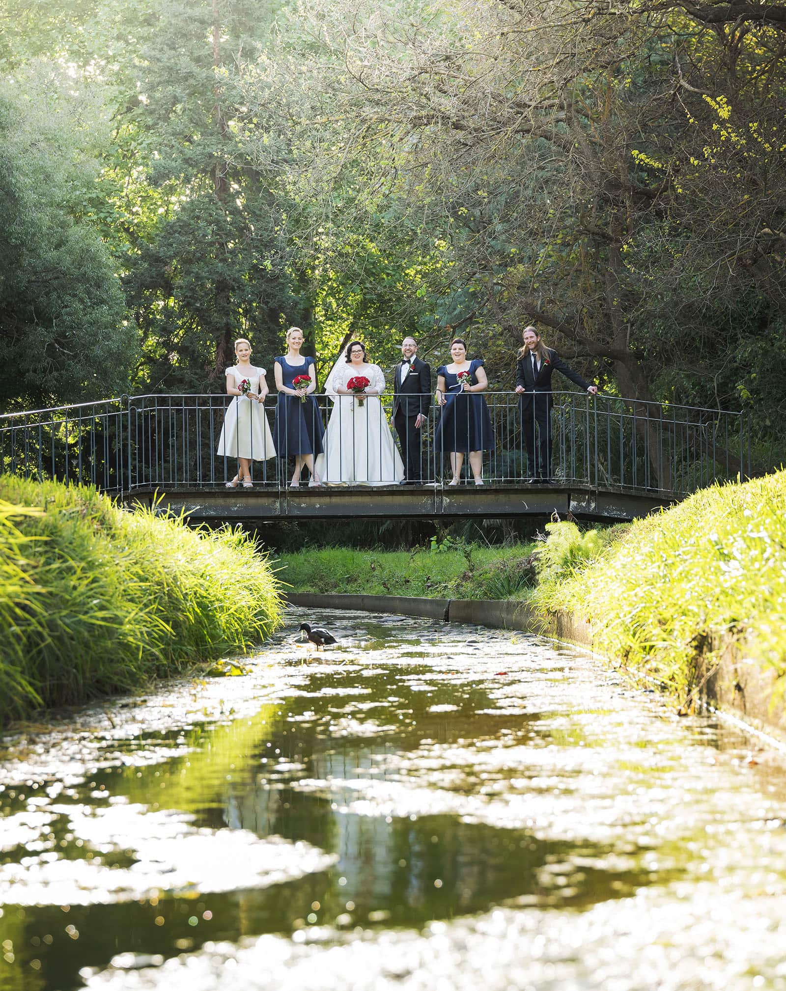 botanic gardens palm house wedding - kelly & david 106 Wedding party standing on a small bridge over a sunlit stream at Adelaide Botanic Gardens