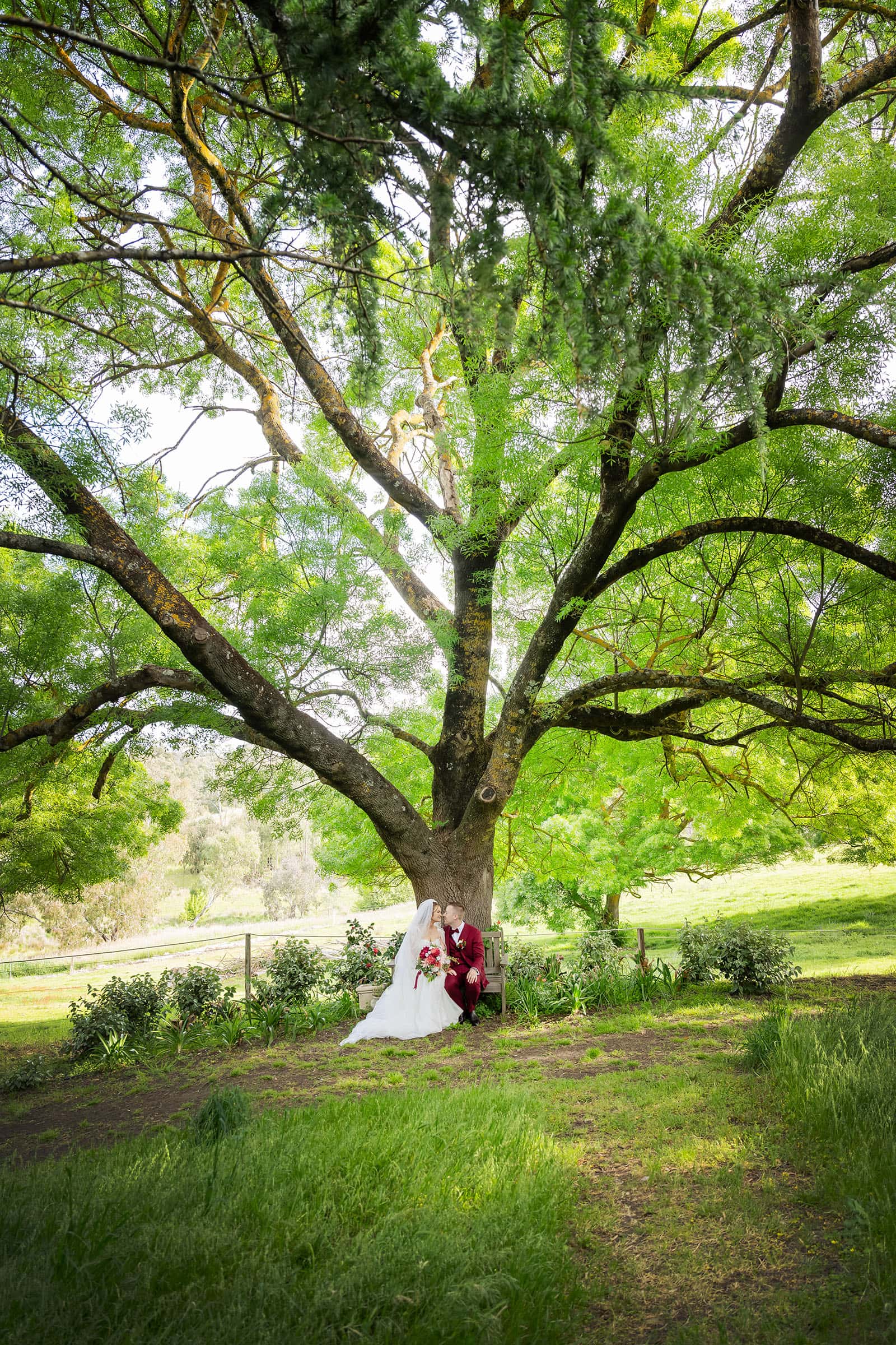 templewood house wedding - michelle & andrew 23 Bride and groom sitting under a big tree