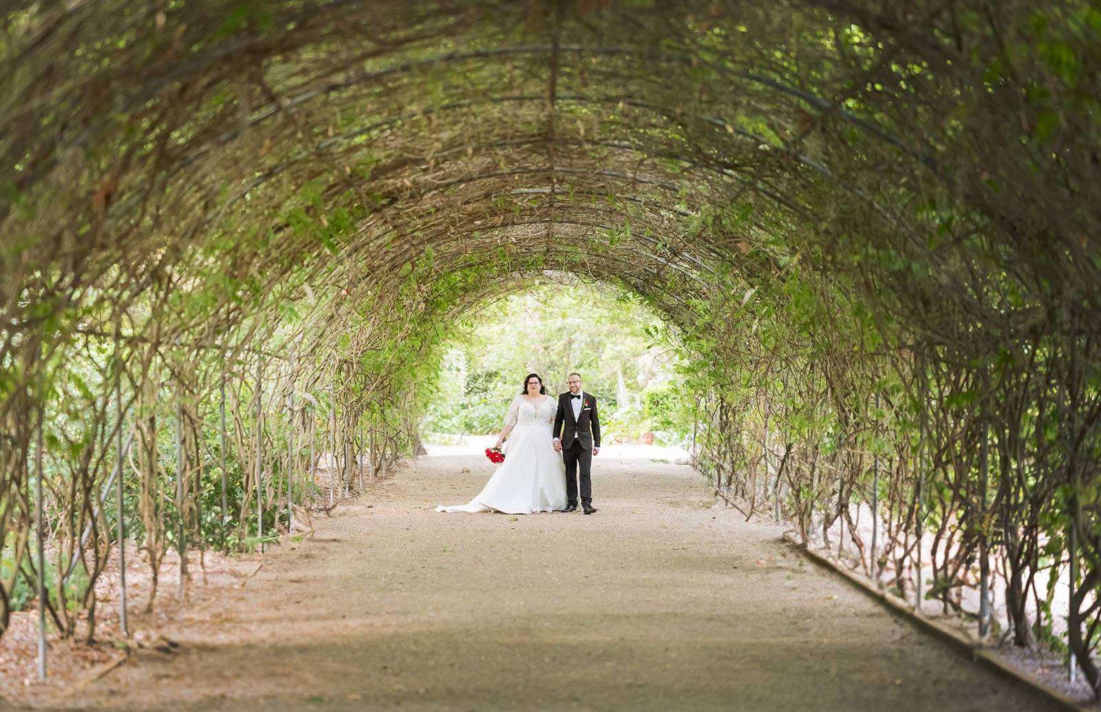 botanic gardens palm house wedding - kelly & david 118 Bride and groom holding hands beneath a leafy garden archway at Adelaide Botanic Gardens