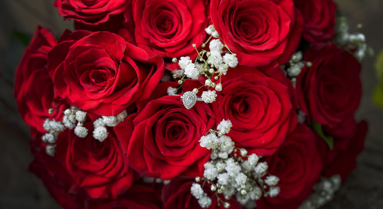 botanic gardens palm house wedding - kelly & david 108 Diamond engagement ring nestled among red roses and white baby's breath in a wedding bouquet