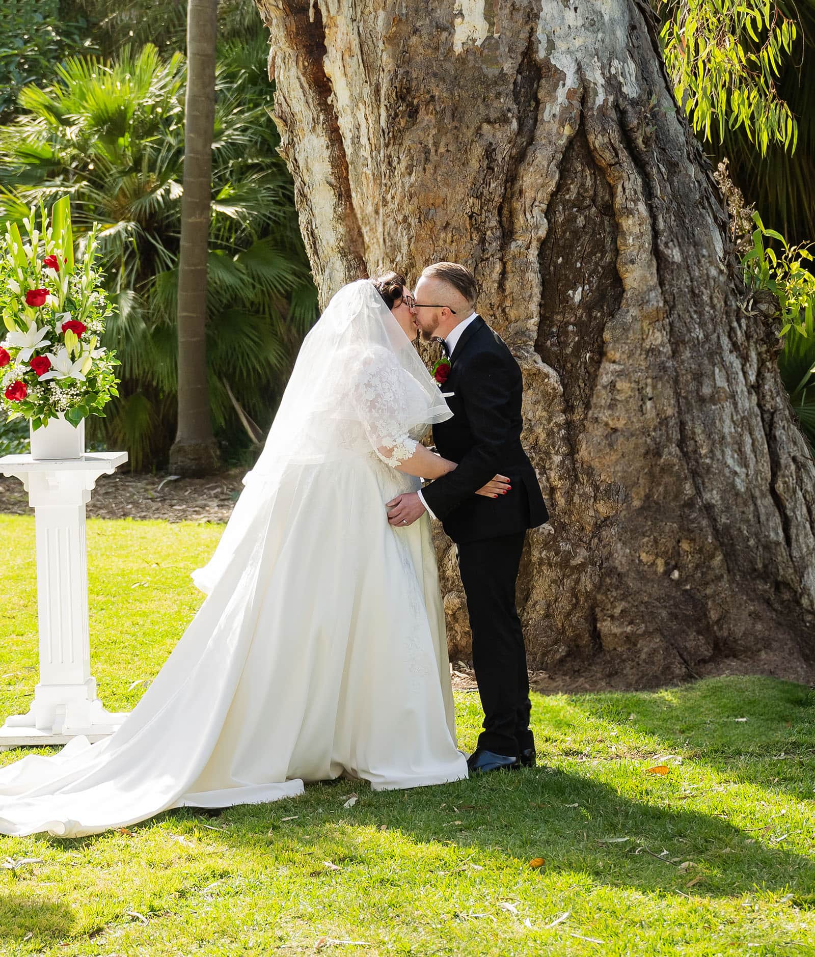 botanic gardens palm house wedding - kelly & david 103 Bride and groom sharing their first kiss beneath a large gum tree at the Adelaide Botanic Gardens, beside red and white wedding flowers