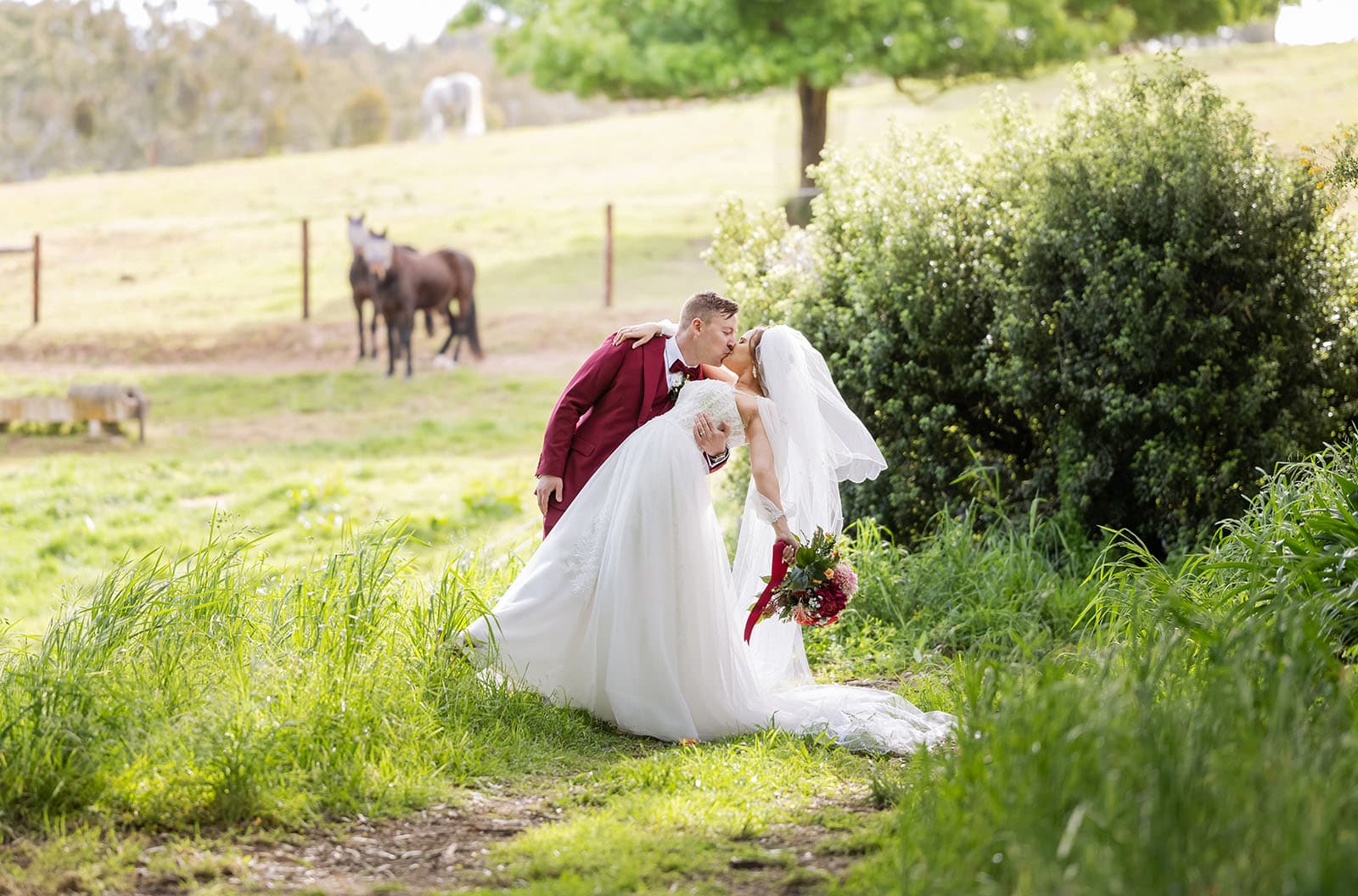 templewood house wedding - michelle & andrew 27 Groom dipping bride in front of horses