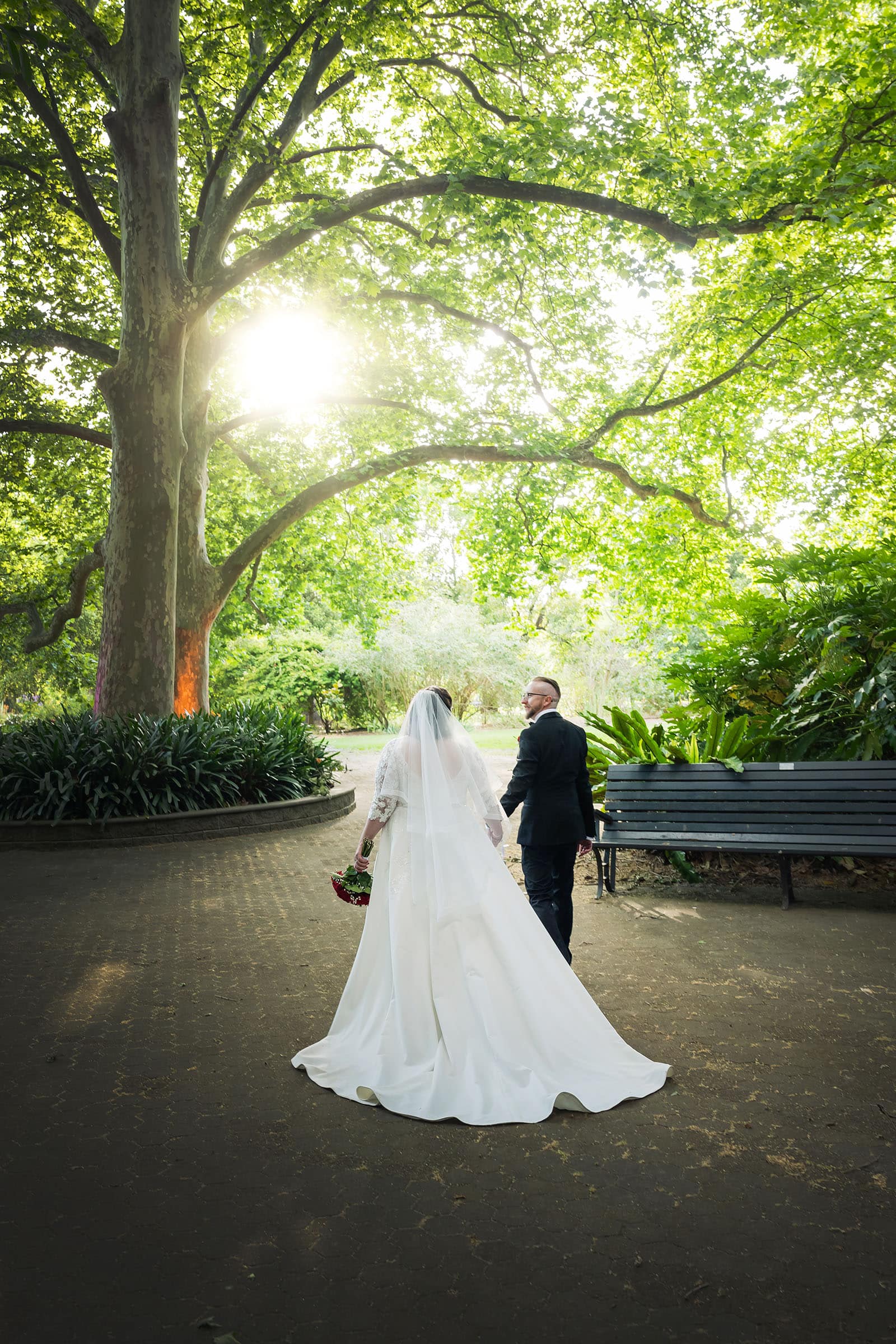 botanic gardens palm house wedding - kelly & david 112 Bride and groom walking hand in hand beneath a large leafy tree at Adelaide Botanic Gardens