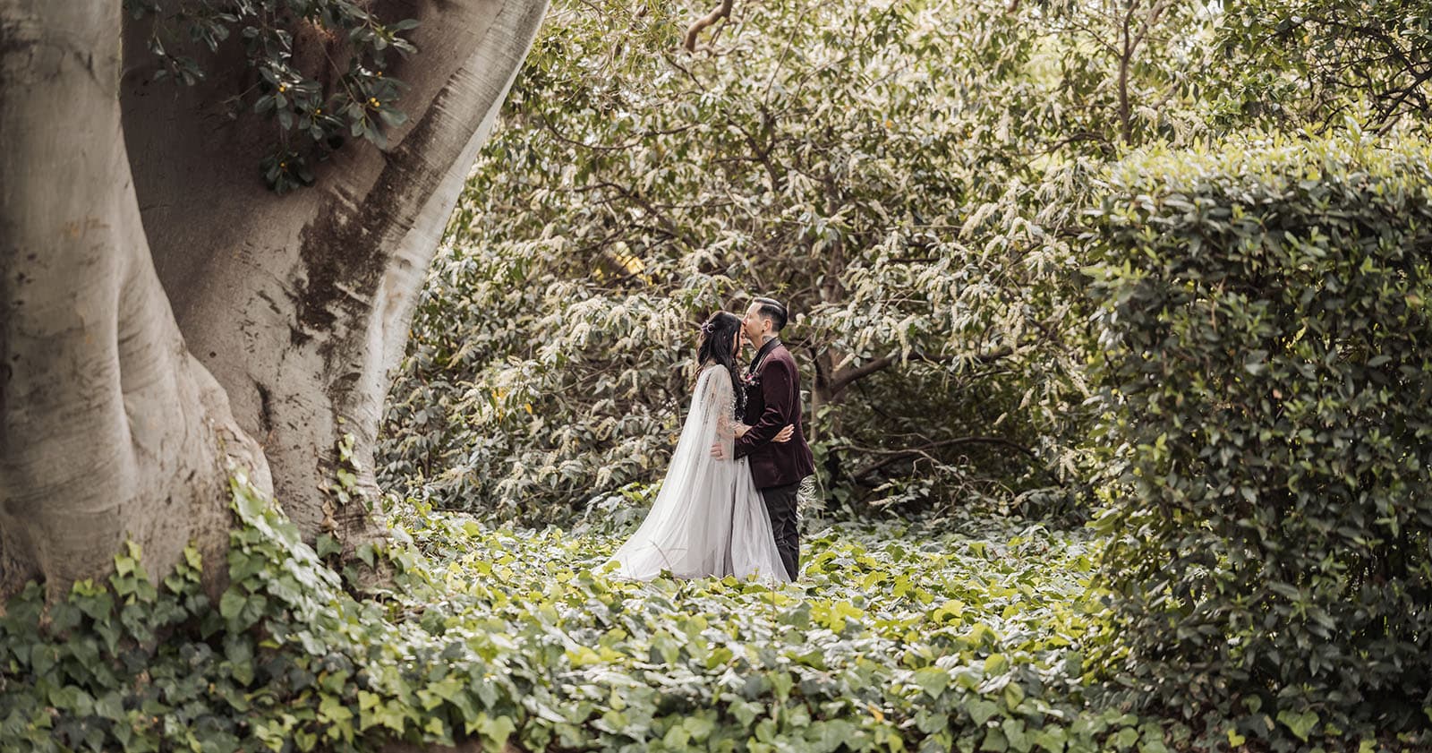 palm house gardens wedding - ayla & drew 175 Kiss in the foliage