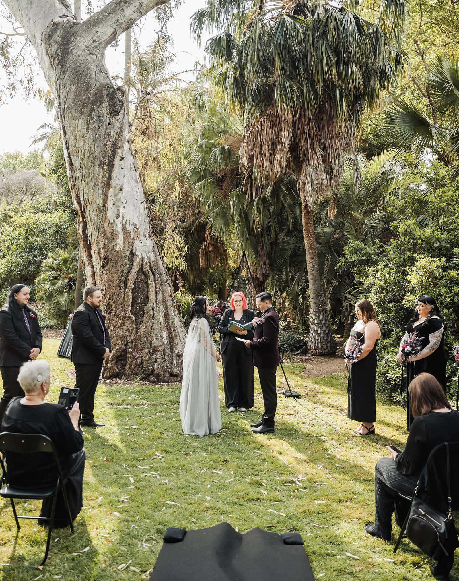 palm house gardens wedding - ayla & drew 149 Wedding Ceremony under gum tree