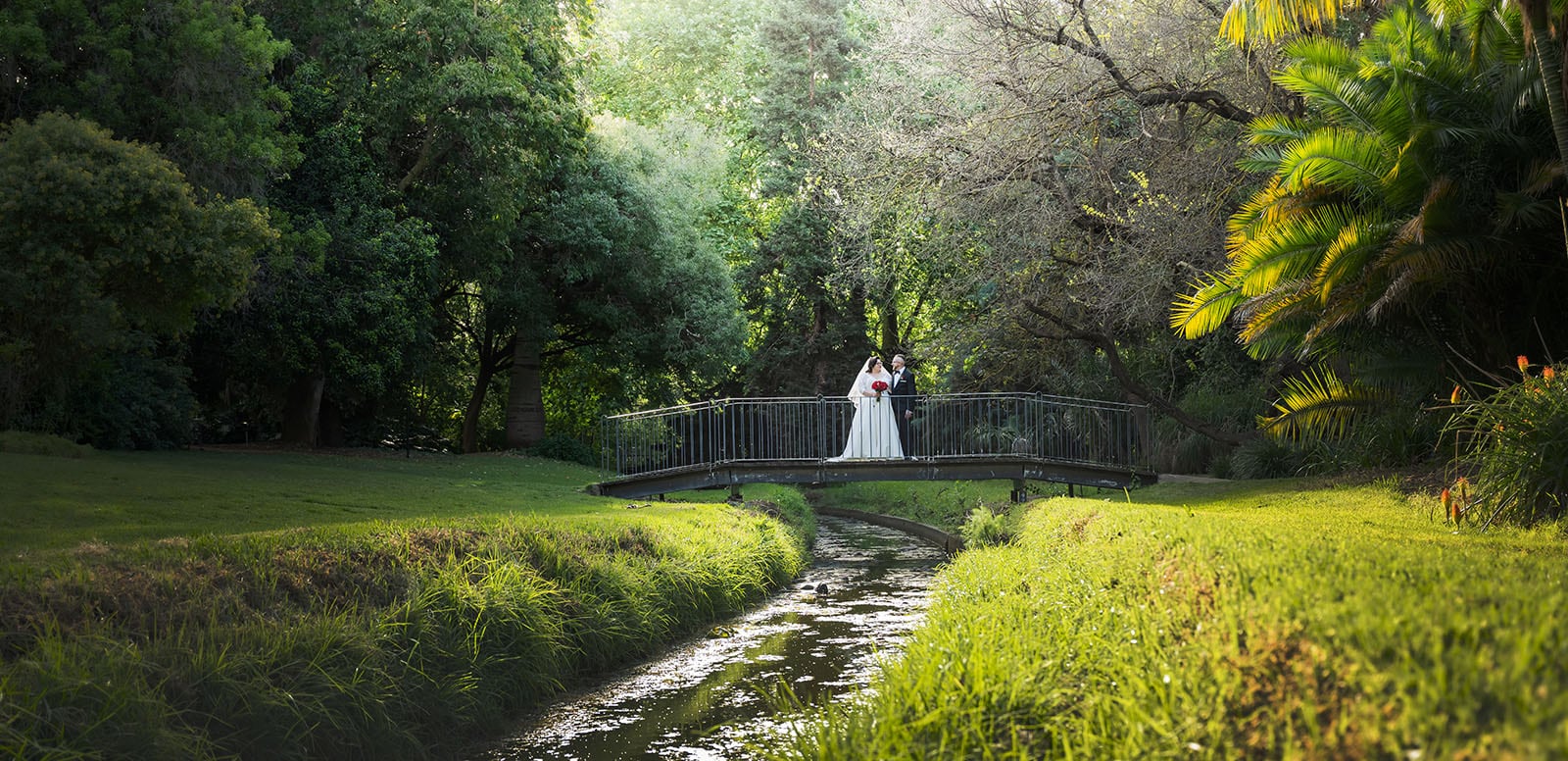 botanic gardens palm house wedding - kelly & david 107 Bride and groom standing on a small bridge above a stream at Adelaide Botanic Gardens