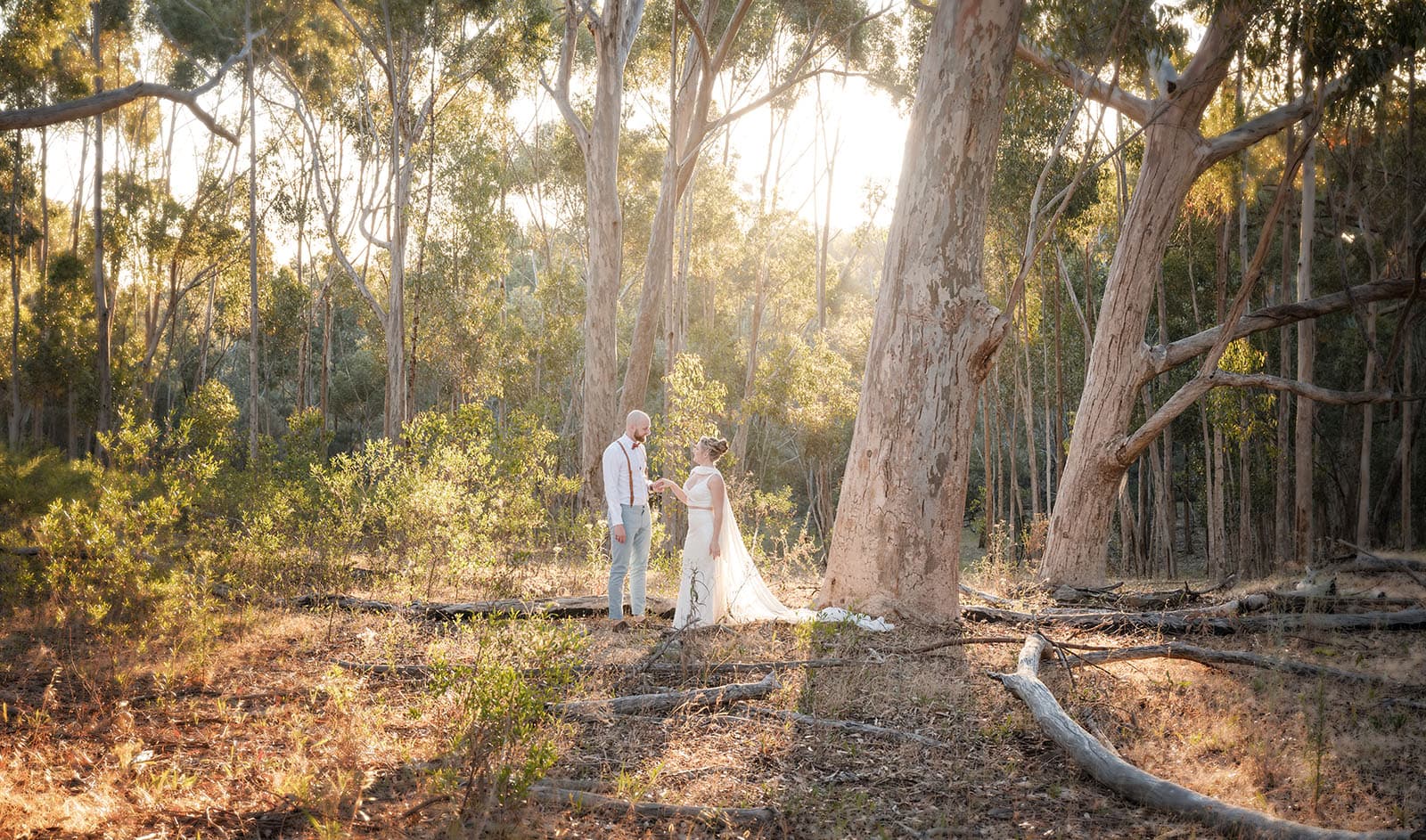 belair national park engagement shoot - lindsey & jaden 29 Wedding couple in sunlit forest scenery
