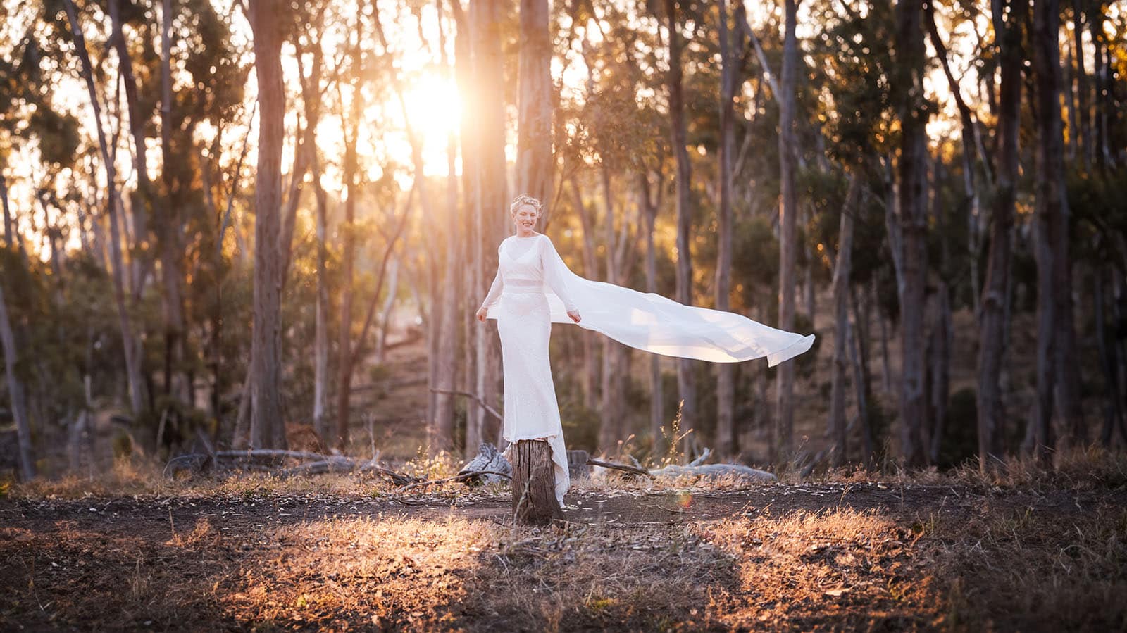 belair national park engagement shoot - lindsey & jaden 35 Bride in forest sunset, elegant wedding dress, nature background