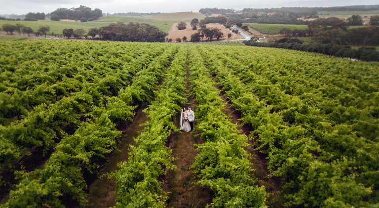 All Day wedding photography