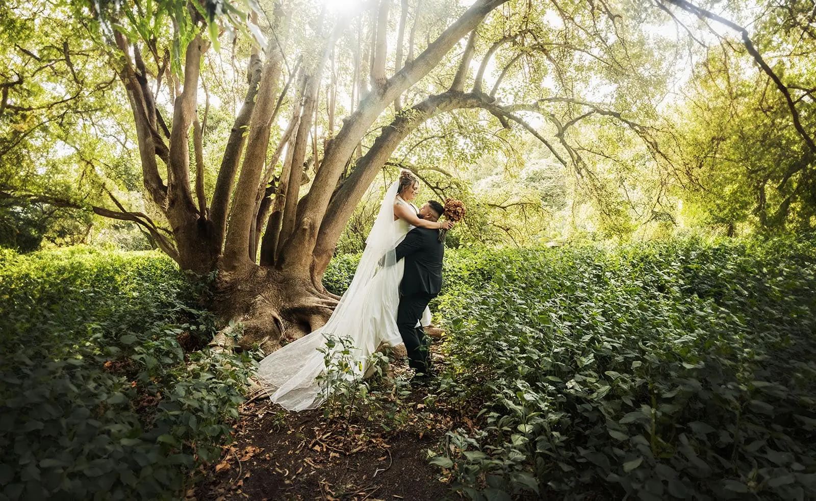 botanic gardens, araucaria avenue wedding - jade & hazim 48 Botanic Gardens, Araucaria Avenue Wedding