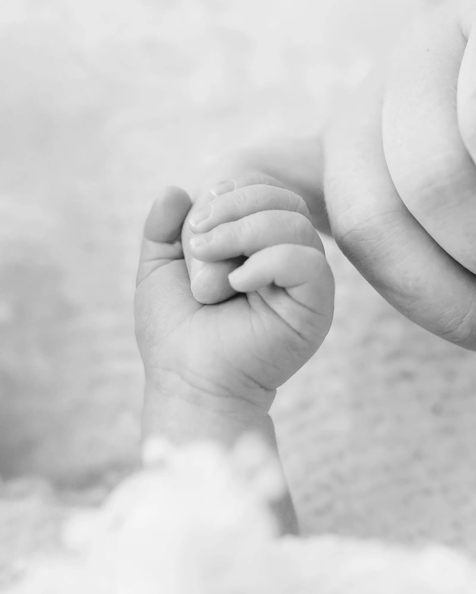 baby spencer's newborn shoot 74 Babys hand tenderly grasping adults finger in monochrome image.