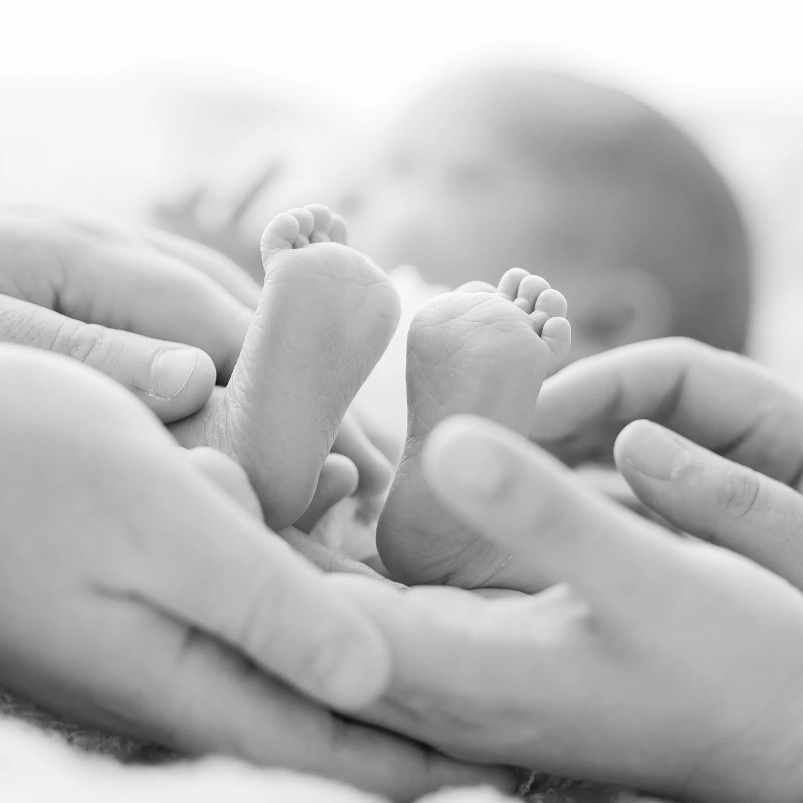 baby spencer's newborn shoot 73 Adult hands cradling newborn babys delicate feet in a timeless black and white photograph.
