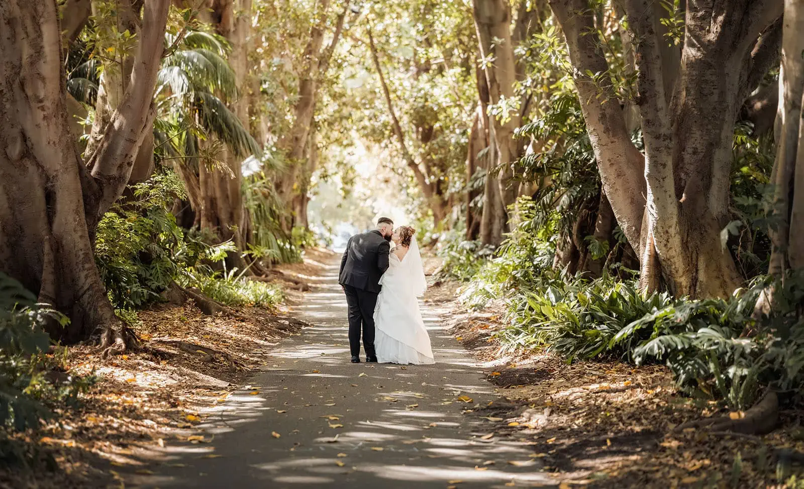 botanic gardens, araucaria avenue wedding - jade & hazim 43 Newlywed couple sharing a kiss on a sunlit, tree-lined path in autumn.