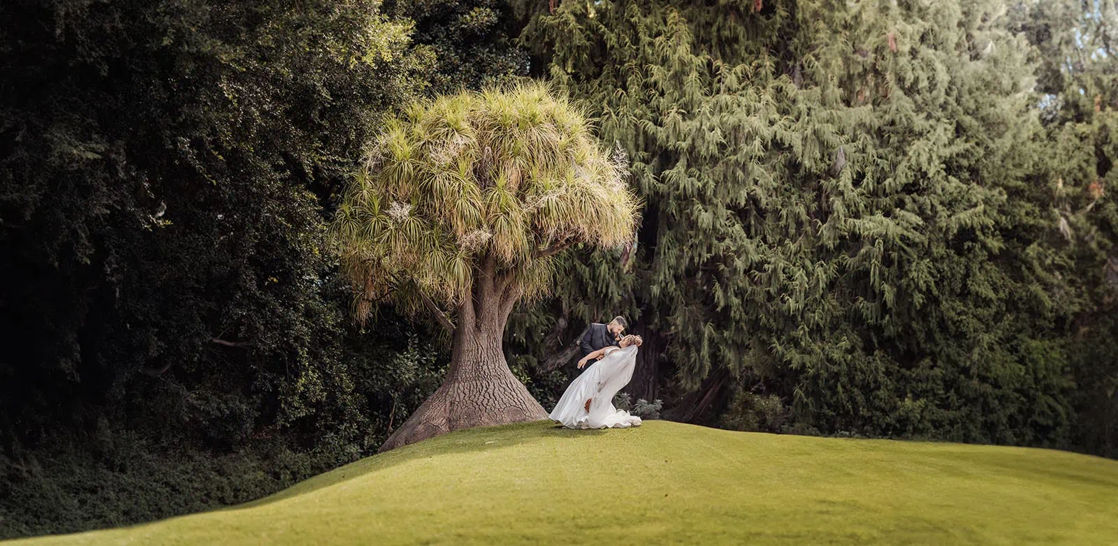 botanic gardens, araucaria avenue wedding - jade & hazim 54 Loving couple embracing under a majestic tree in a lush garden for a wedding photo.