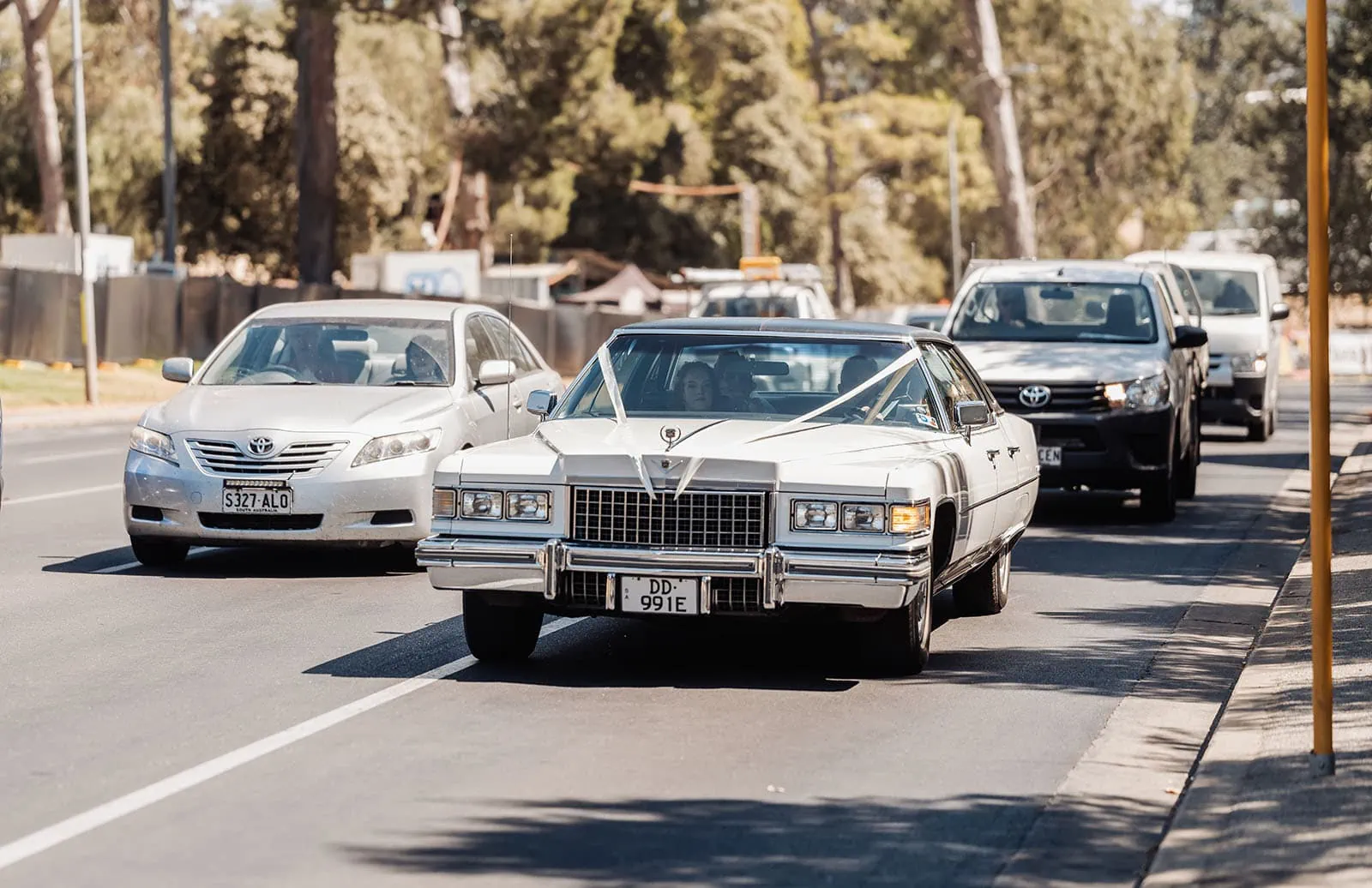 botanic gardens, araucaria avenue wedding - jade & hazim 28 Vintage Cadillac driving amidst modern cars on a sunny day.