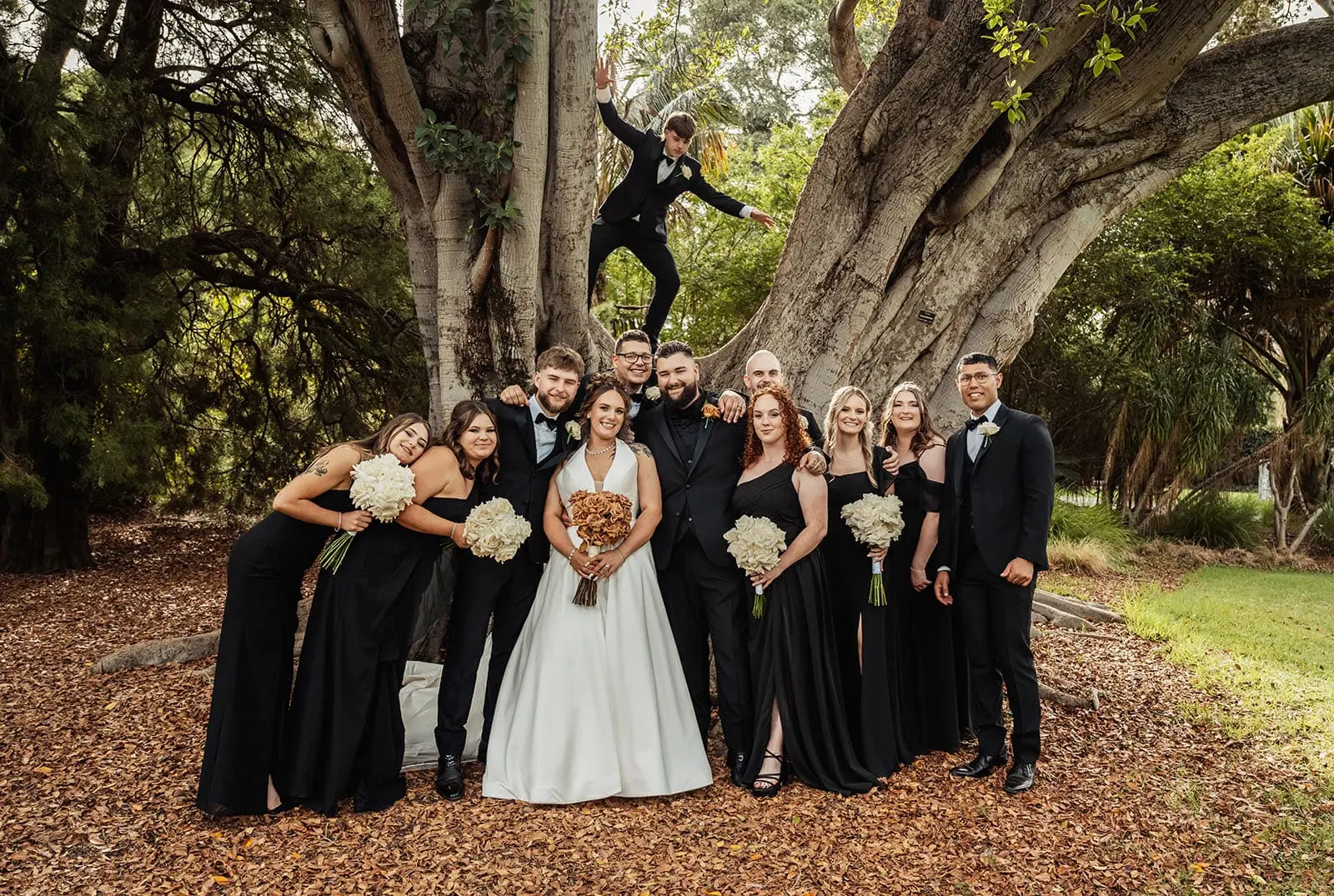 botanic gardens, araucaria avenue wedding - jade & hazim 55 Bride and groom with wedding party under majestic tree during autumn celebration.