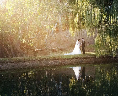 Wedding couple by serene pond at The Lane Vineyard , bathed in golden sunlight amidst lush green foliage.