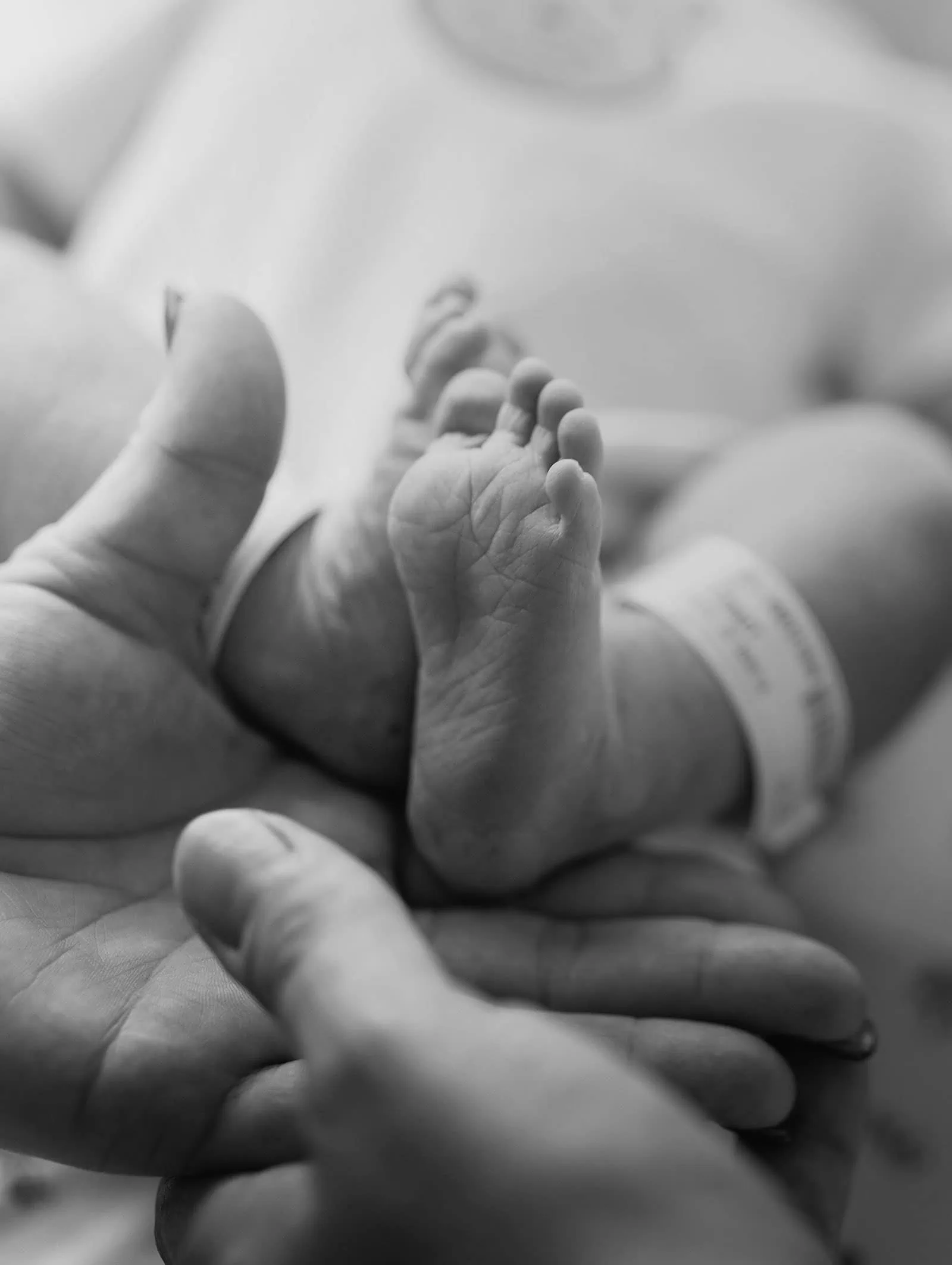 baby walker - flinders medical center newborn photography 2 Newborn feet held by parents hands, symbolizing love, protection, and new beginnings.