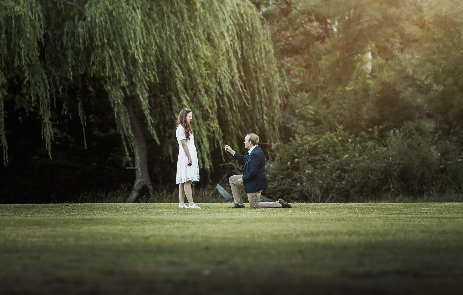 romantic belair national park proposal - marissa & james 134 James kneels to propose to Marissa on a lawn beneath a willow tree in Belair National Park.