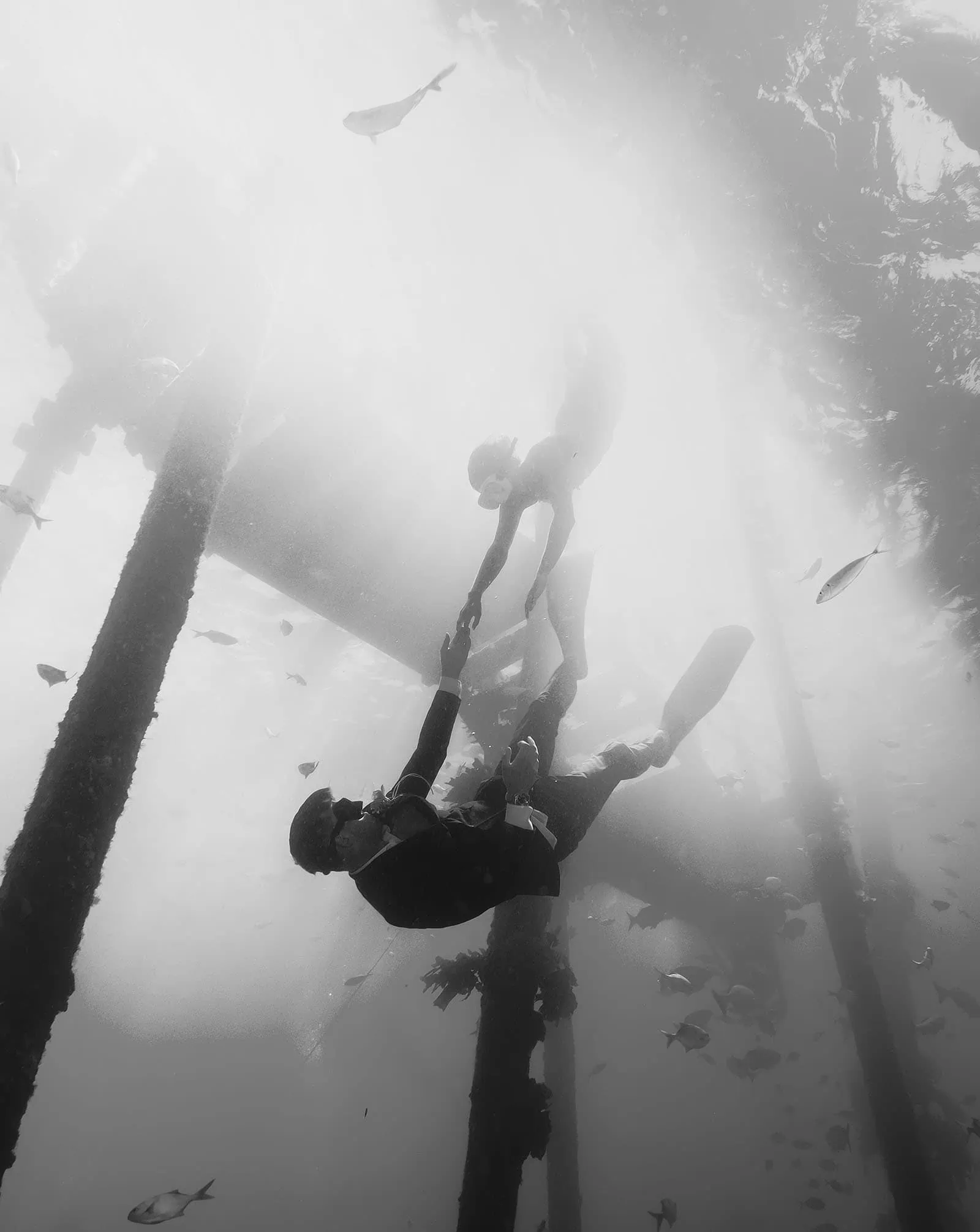 pt noarlunga underwater wreck the dress shoot - jess & jack 15 Underwater scene with divers, one in snorkeling gear and another in a suit, beneath pier beams.